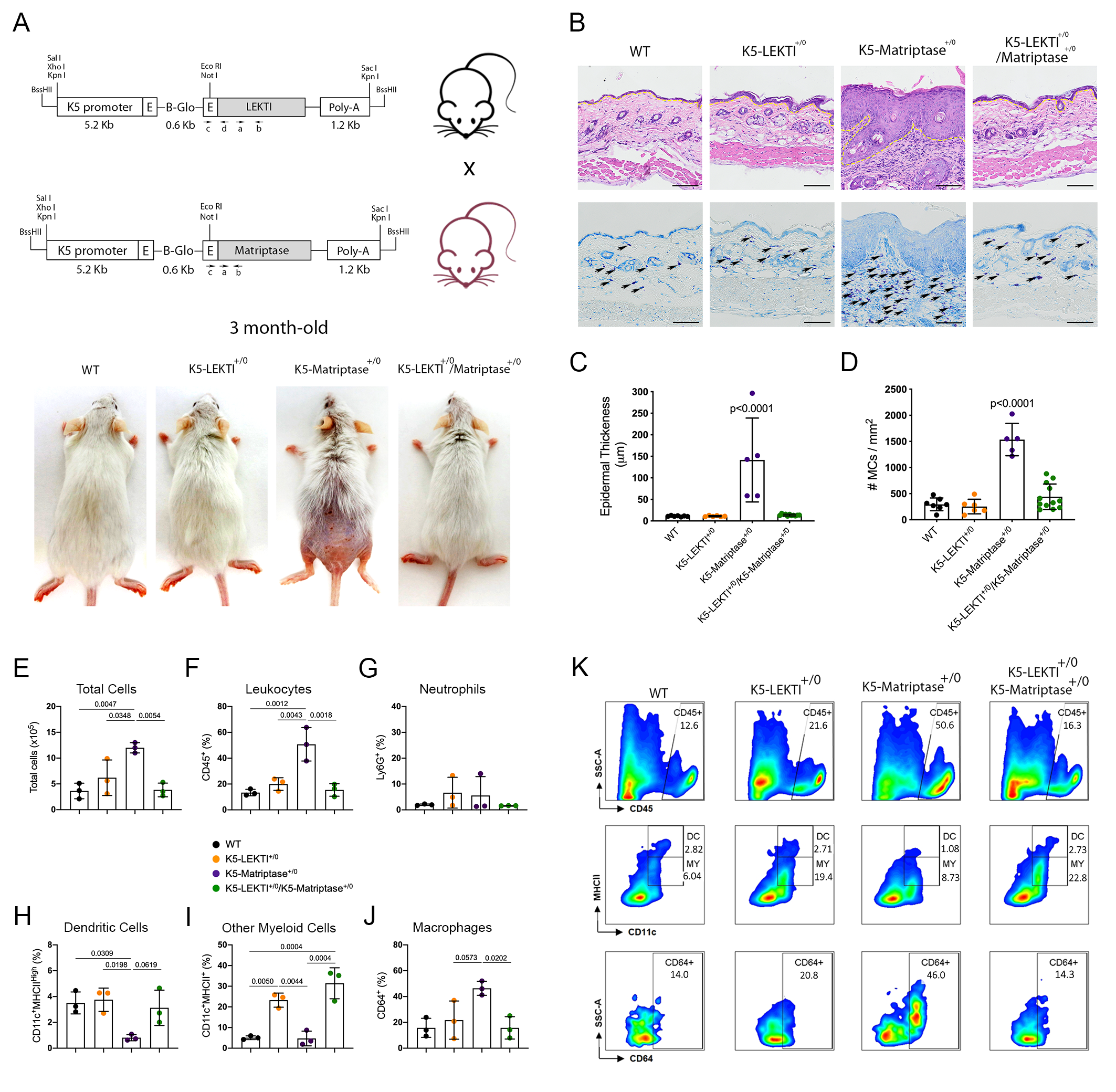Cancers 13 04395 g003