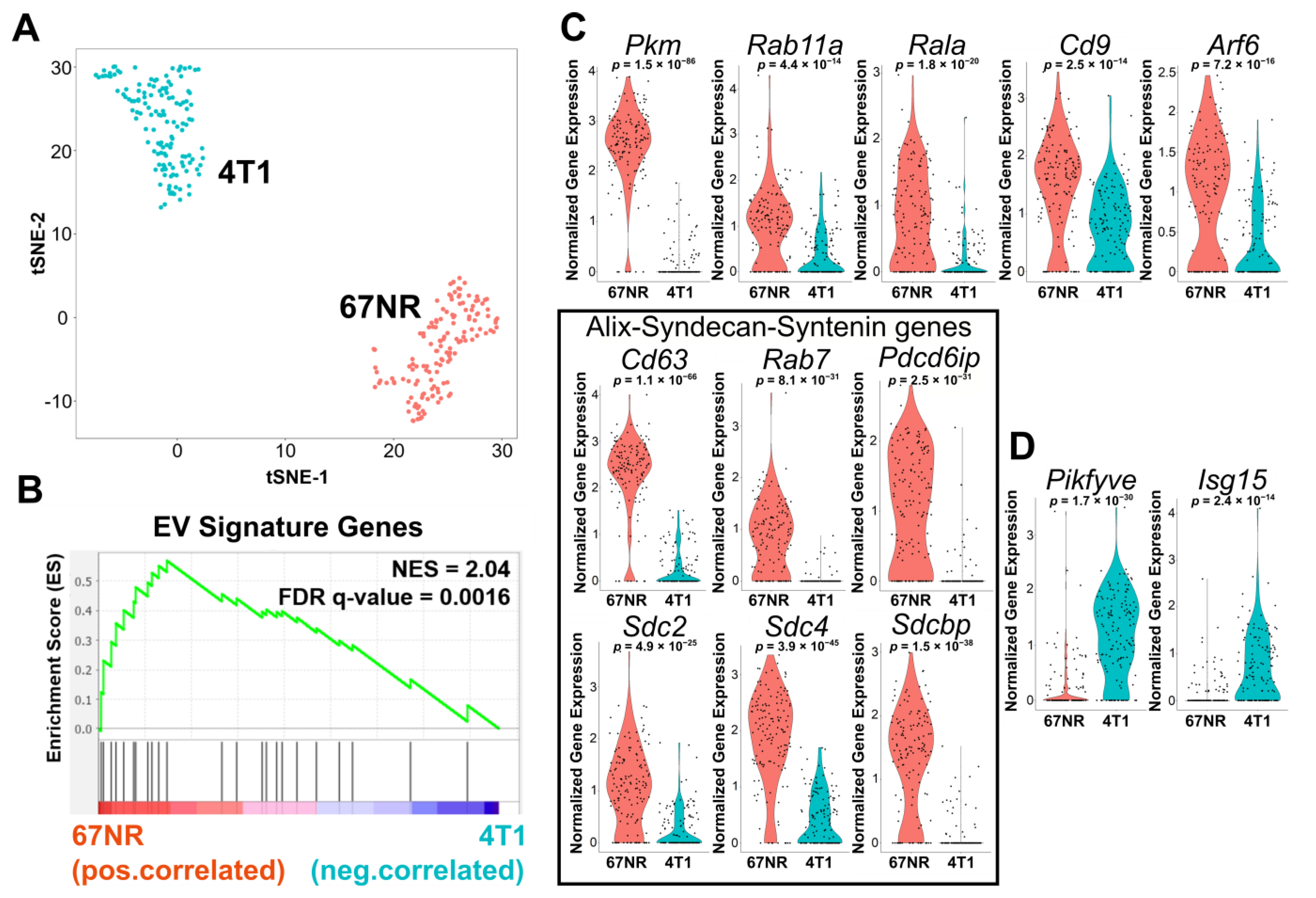 Cancers 13 04397 g002