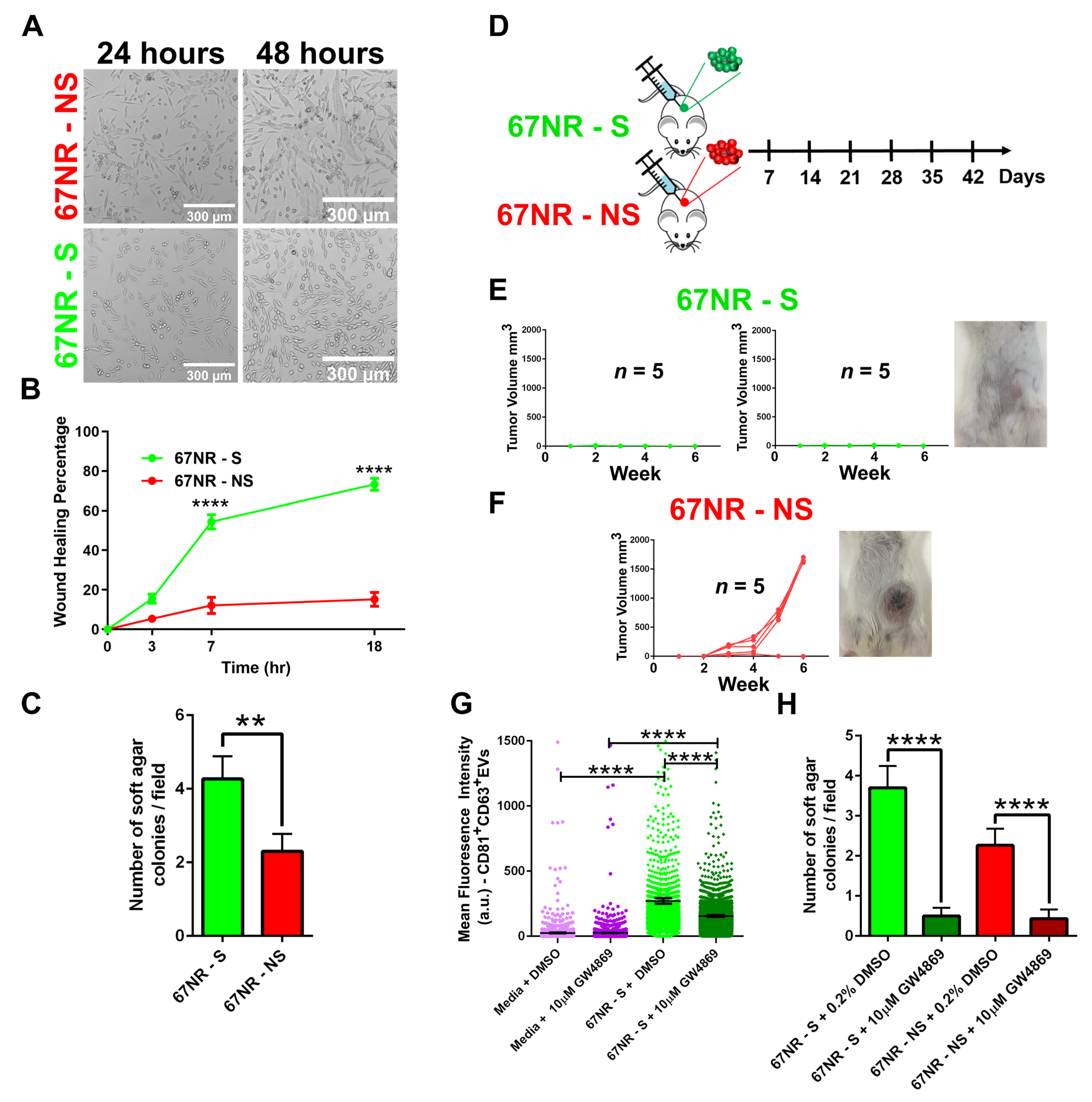 Cancers 13 04397 g004