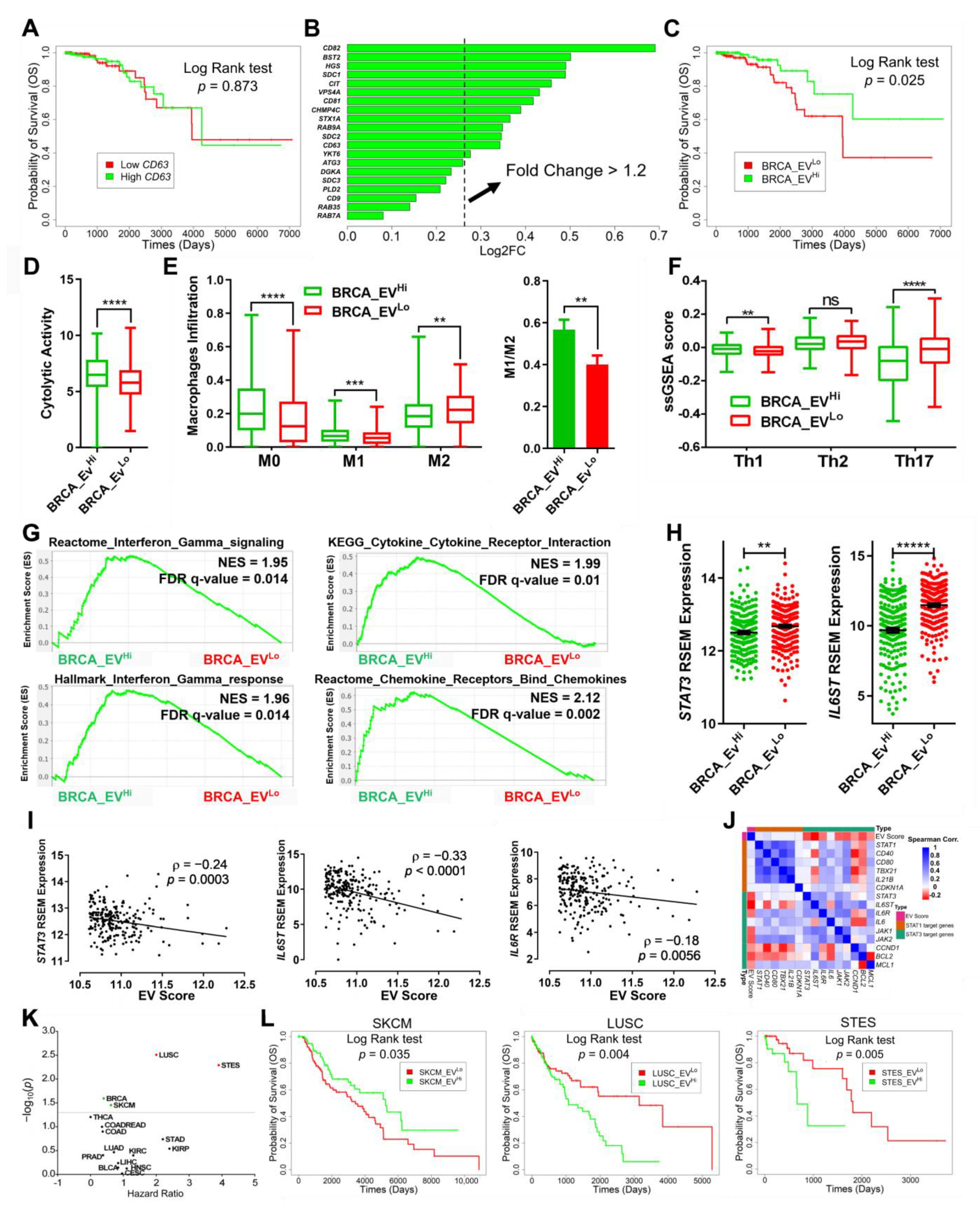 Cancers 13 04397 g005
