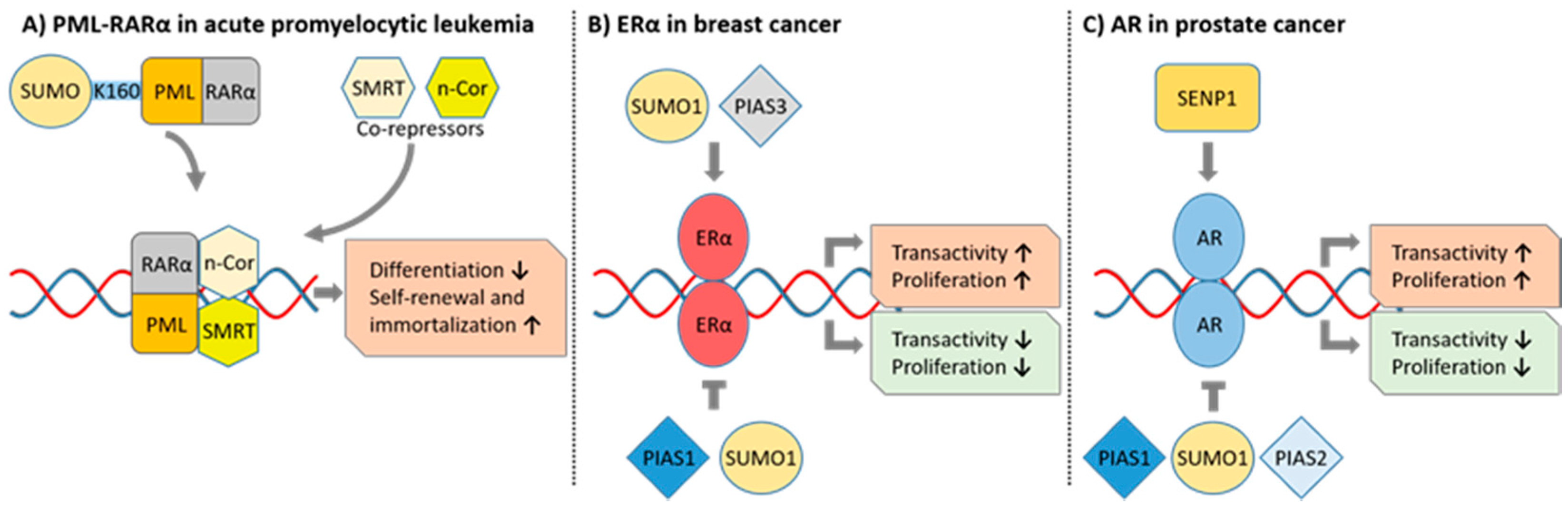Cancers 13 04402 g002
