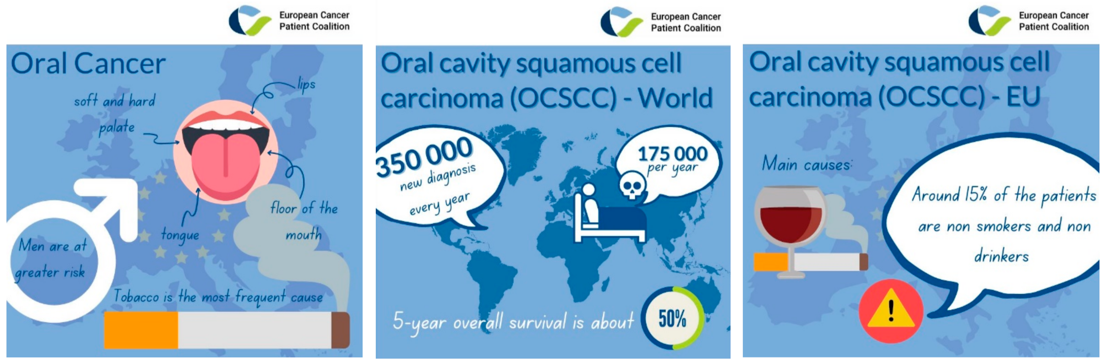 Cancers 13 04408 g001