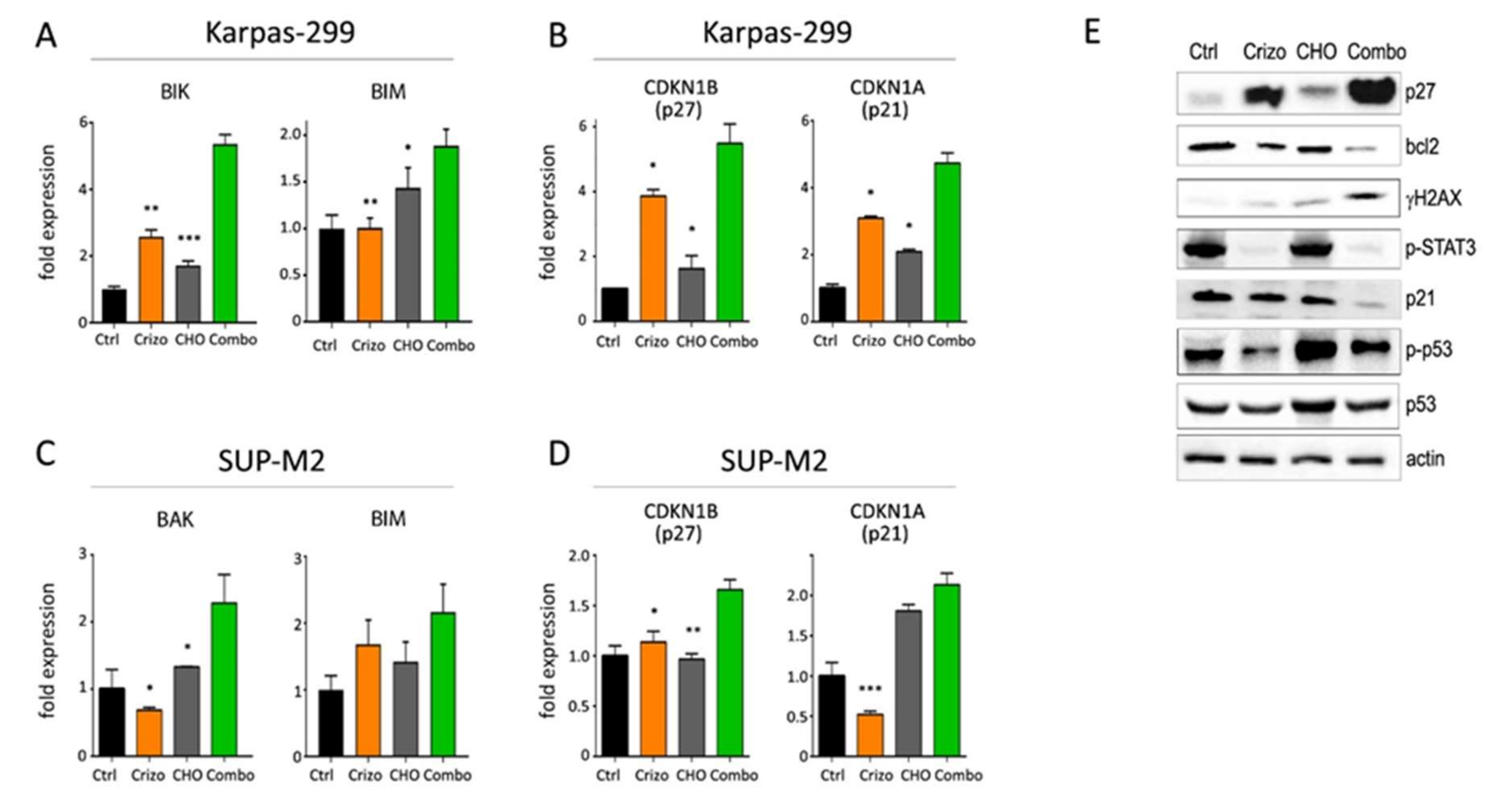 Cancers 13 04422 g004