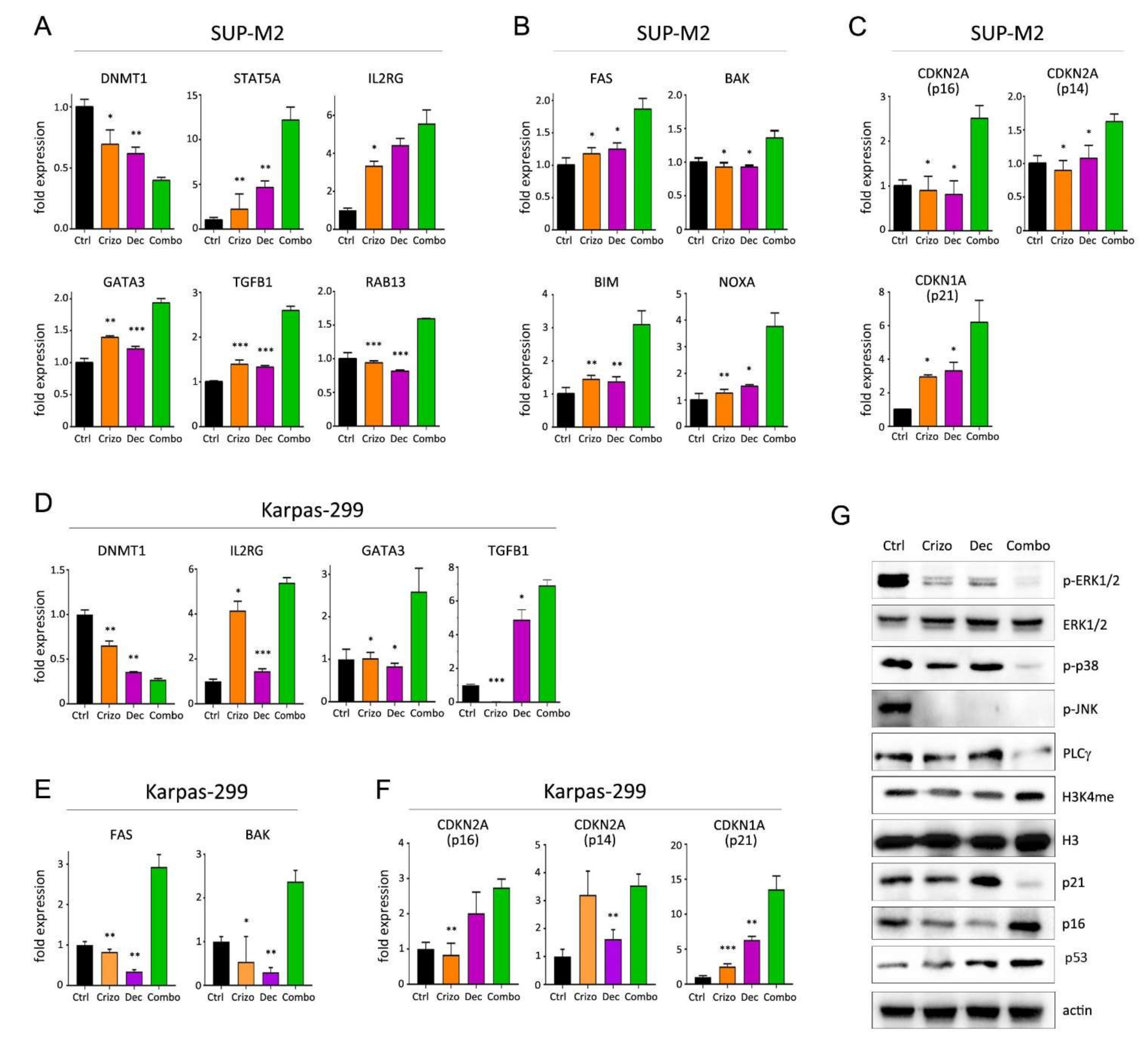 Cancers 13 04422 g005