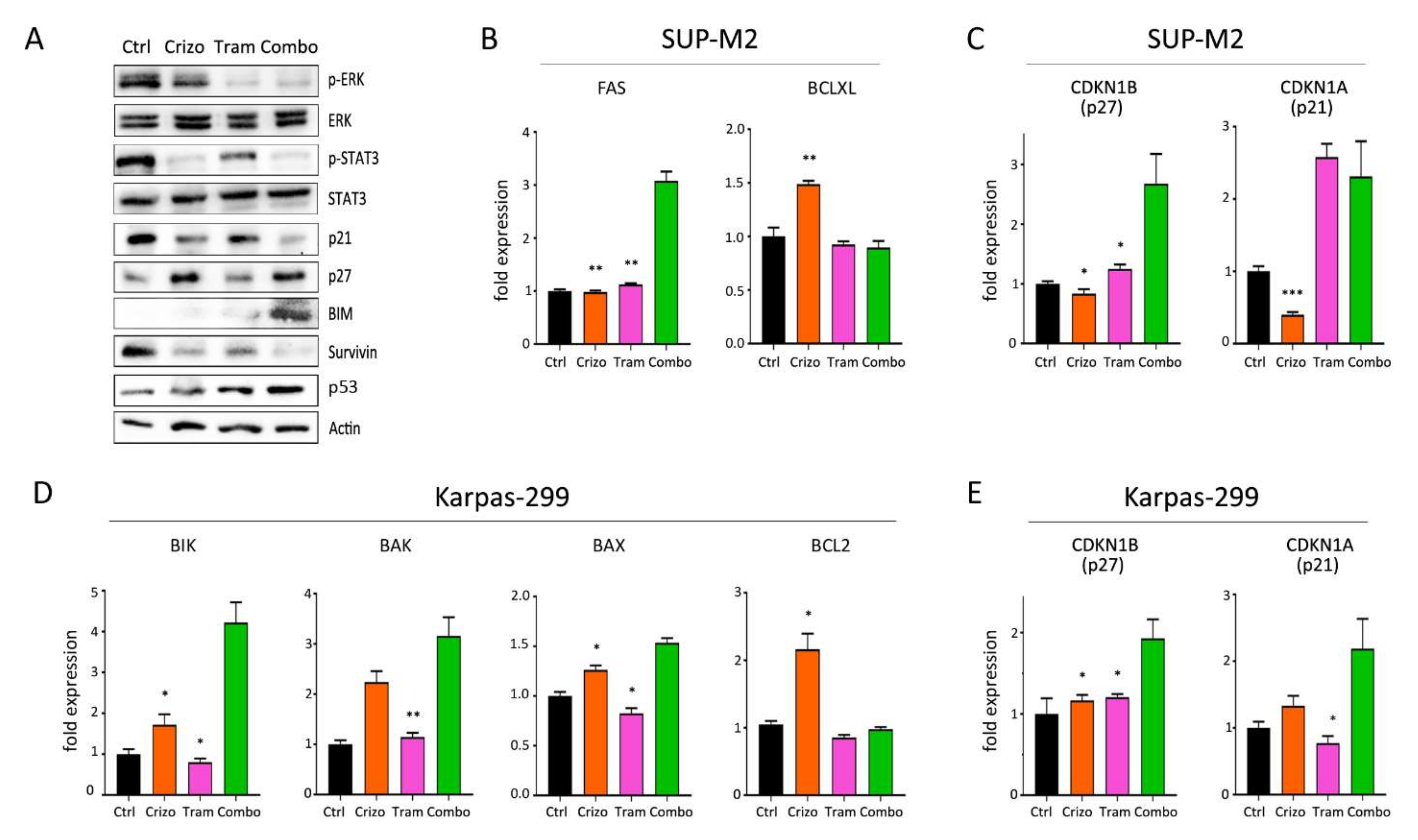 Cancers 13 04422 g006