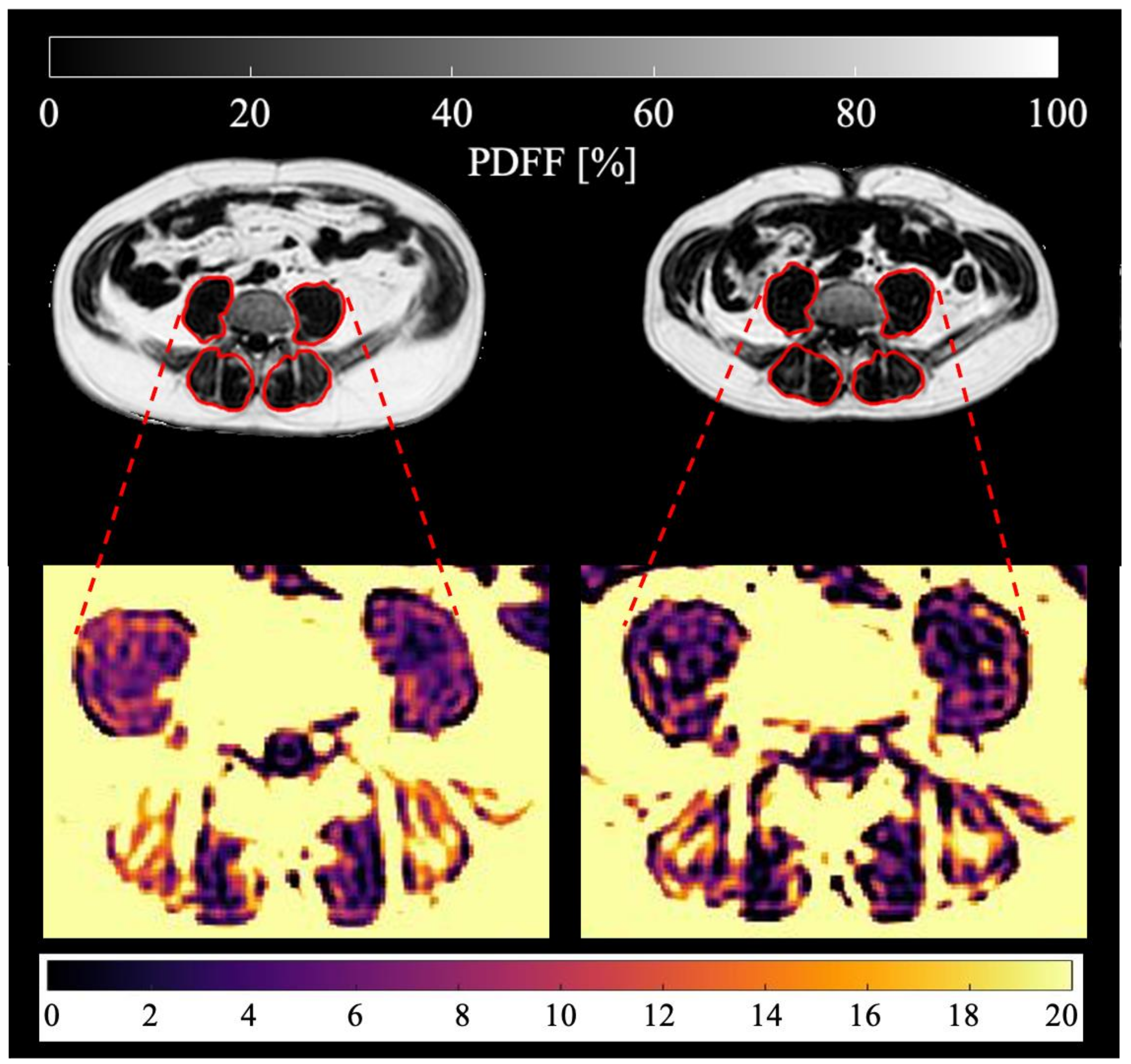 Cancers 13 04433 g002