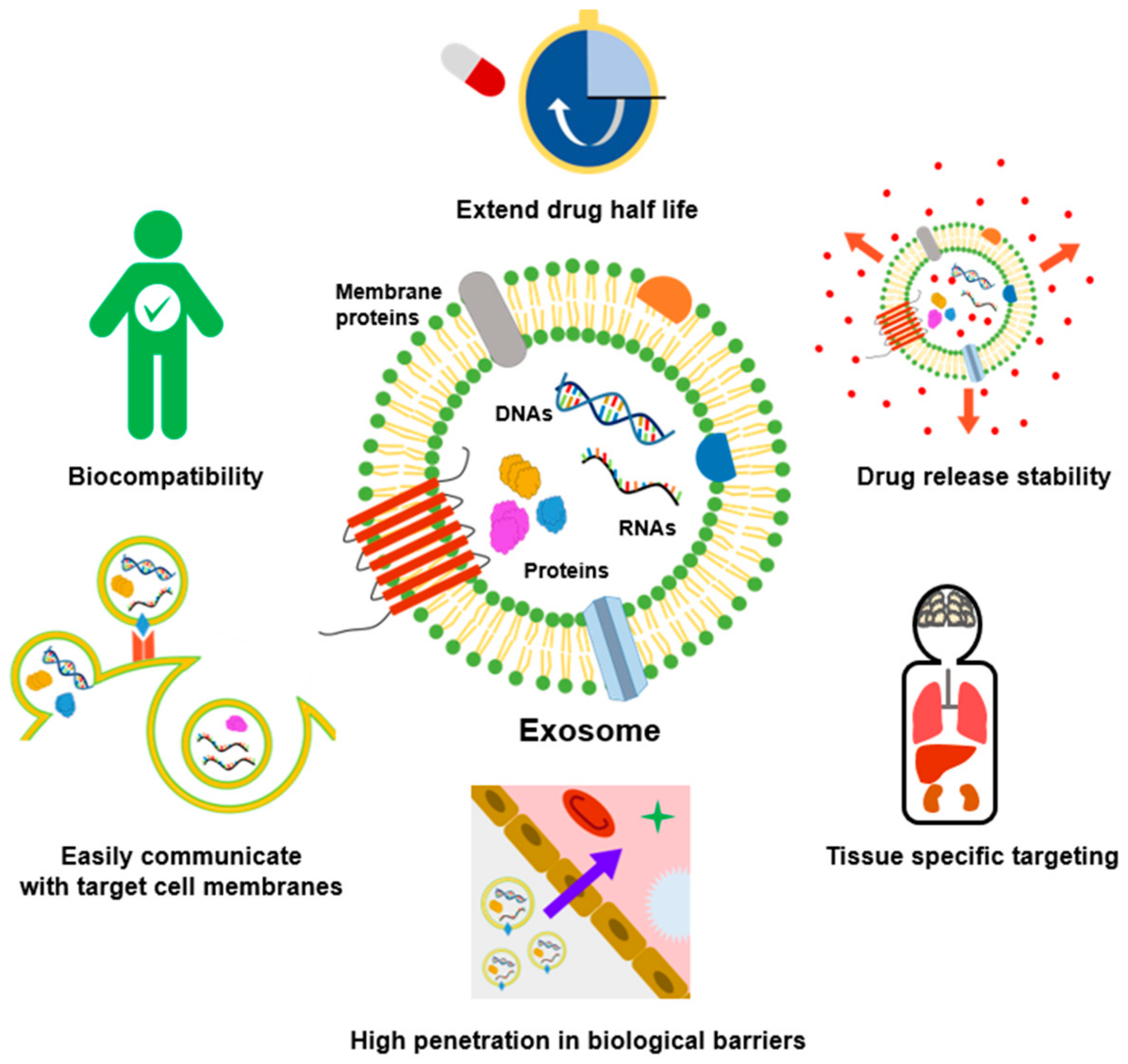 Cancers 13 04435 g001