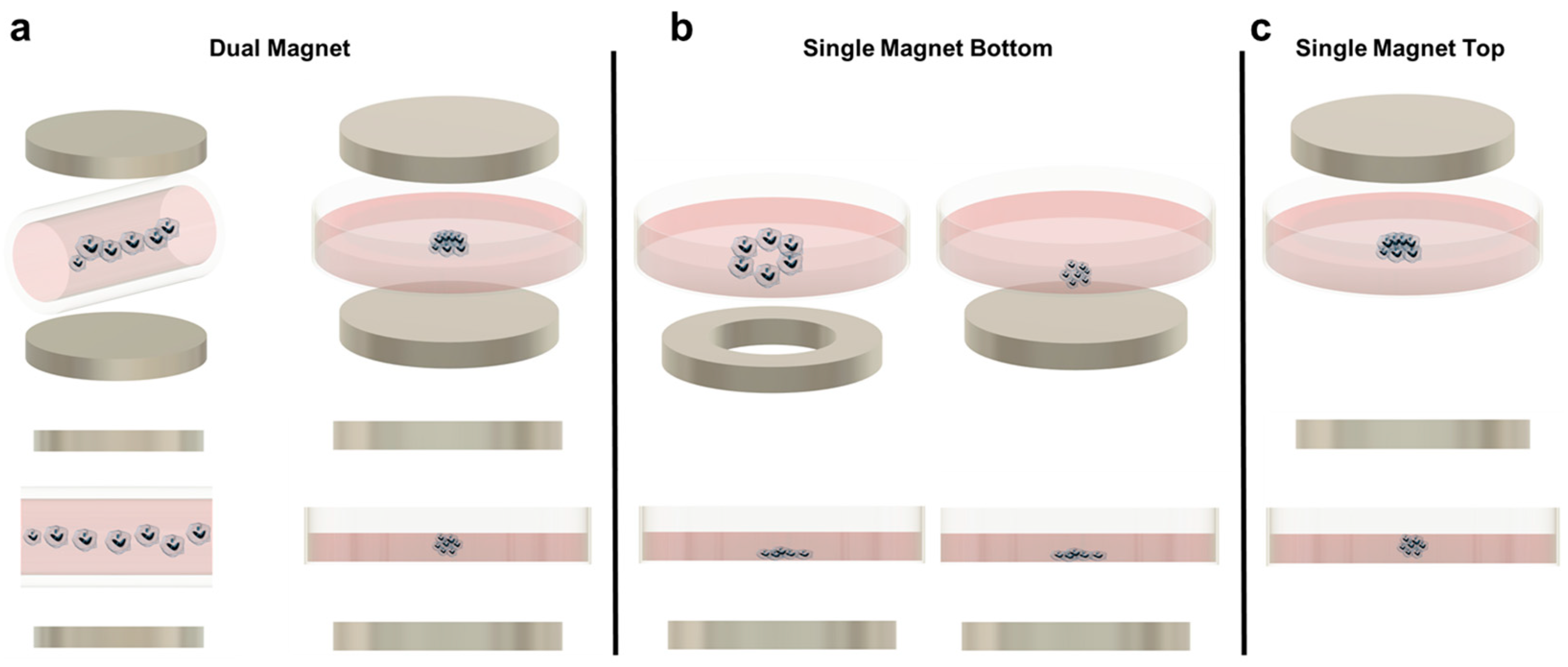 Cancers 13 04440 g001