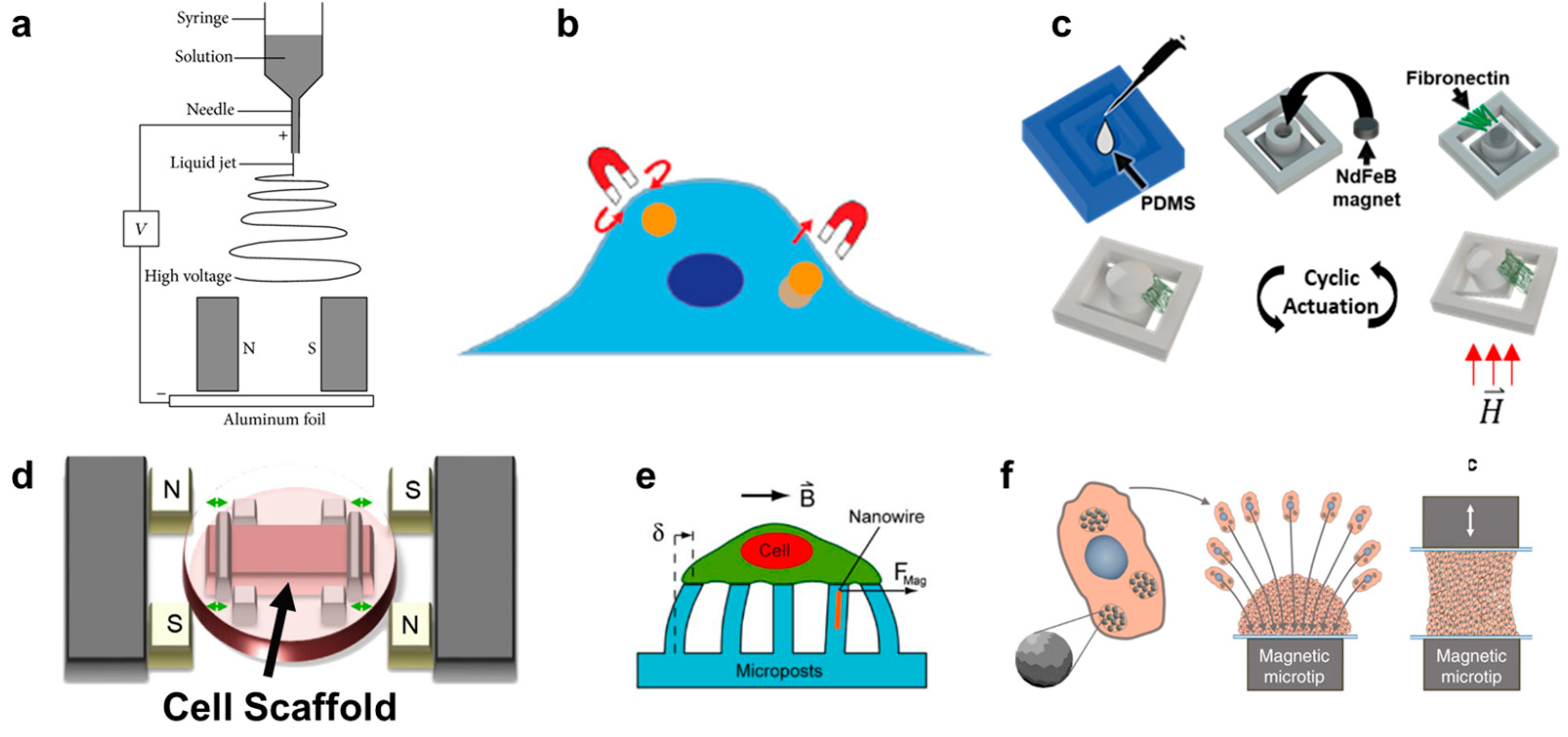 Cancers 13 04440 g002