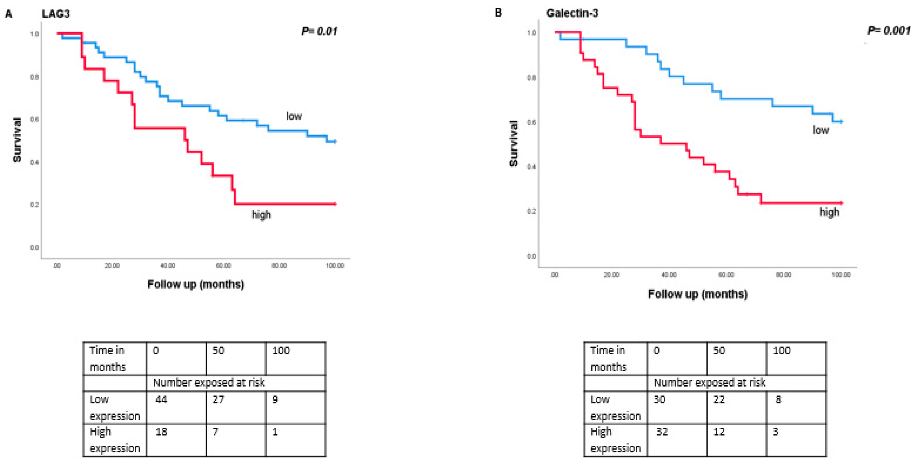 Cancers 13 04445 g004a
