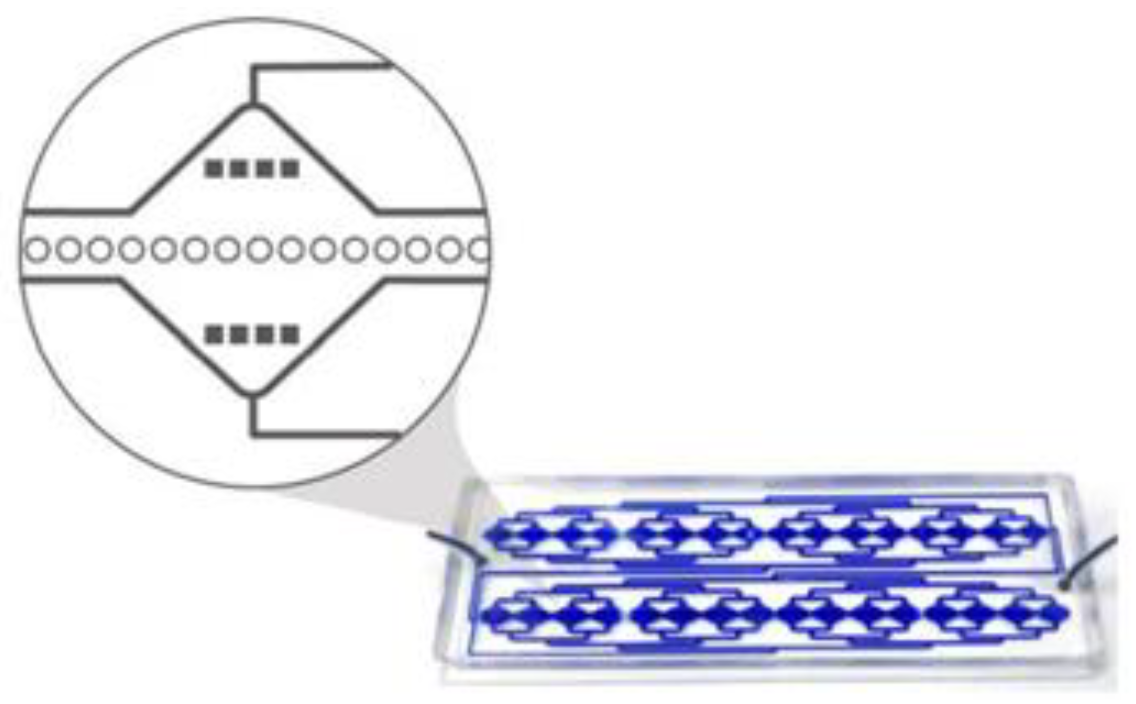 Cancers 13 04446 g010