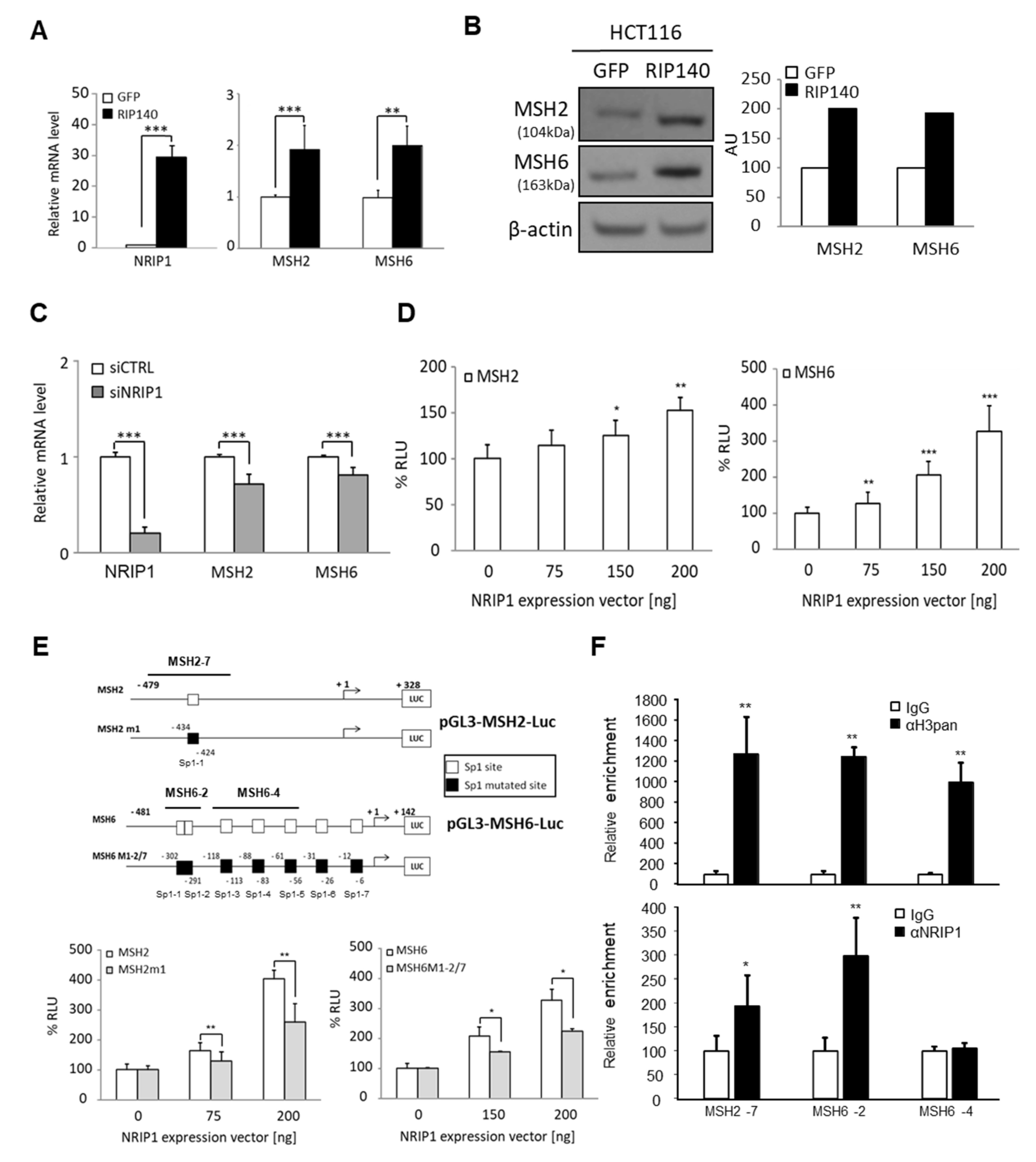 Cancers 13 04449 g002