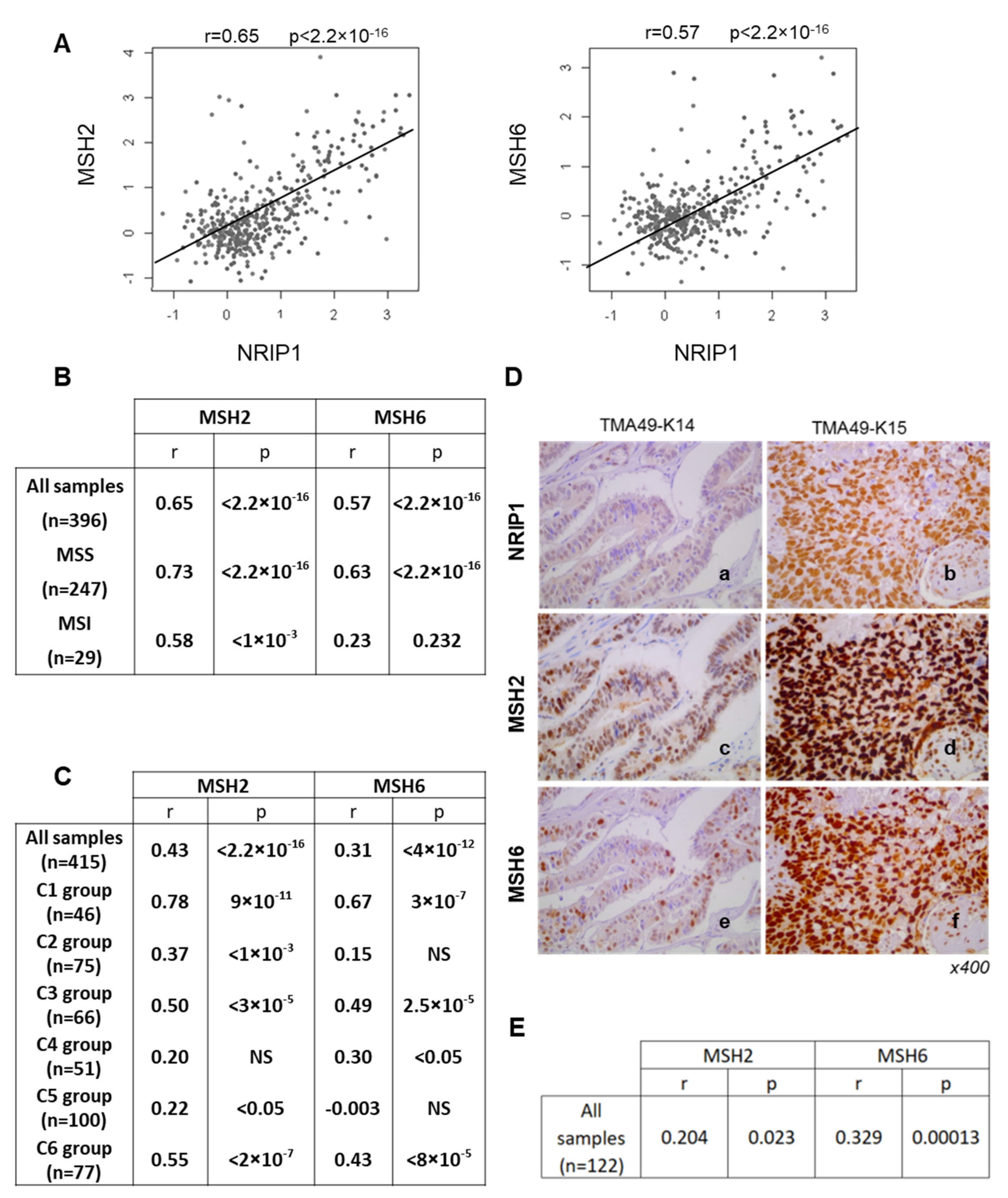 Cancers 13 04449 g003