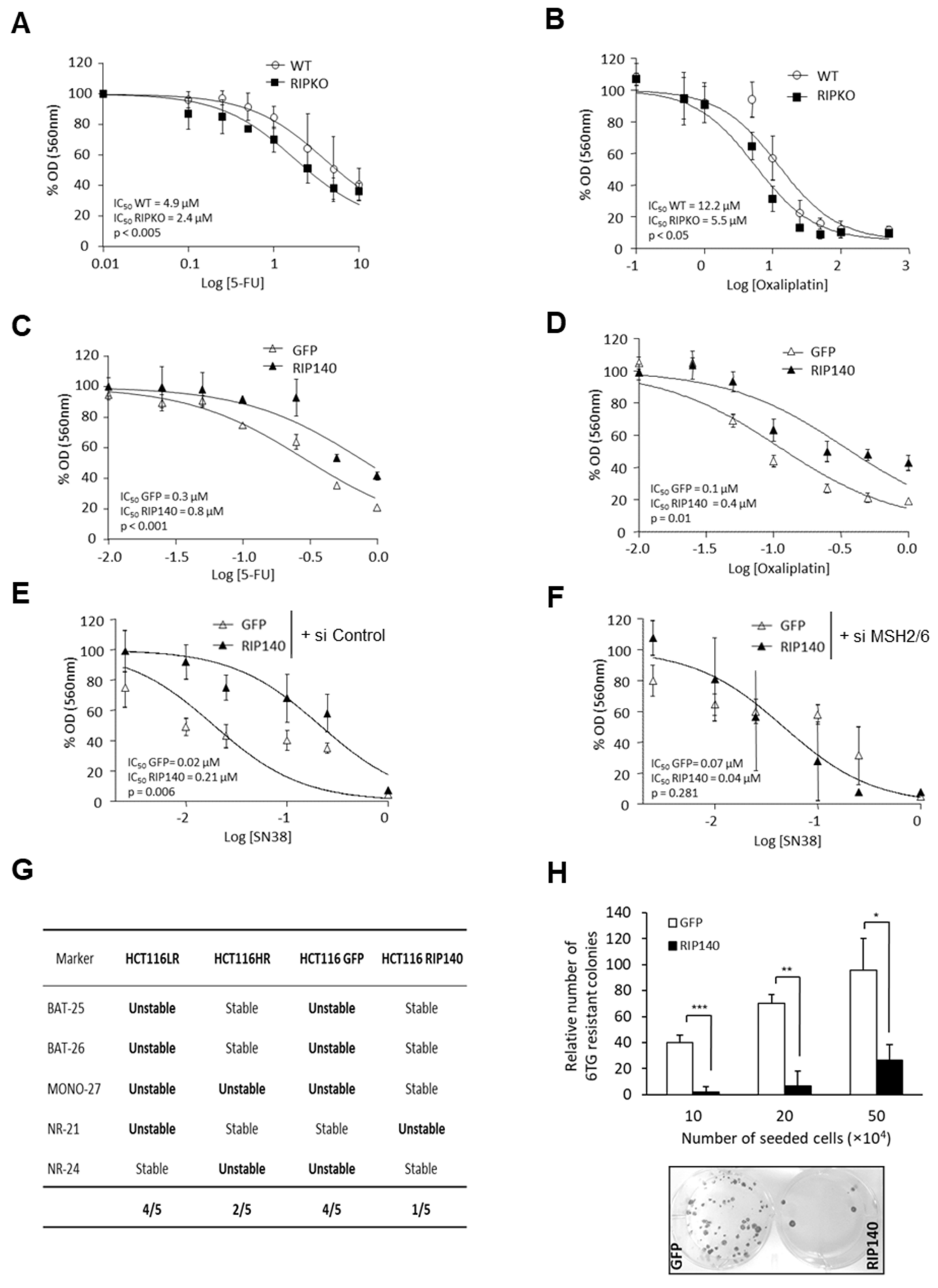Cancers 13 04449 g004