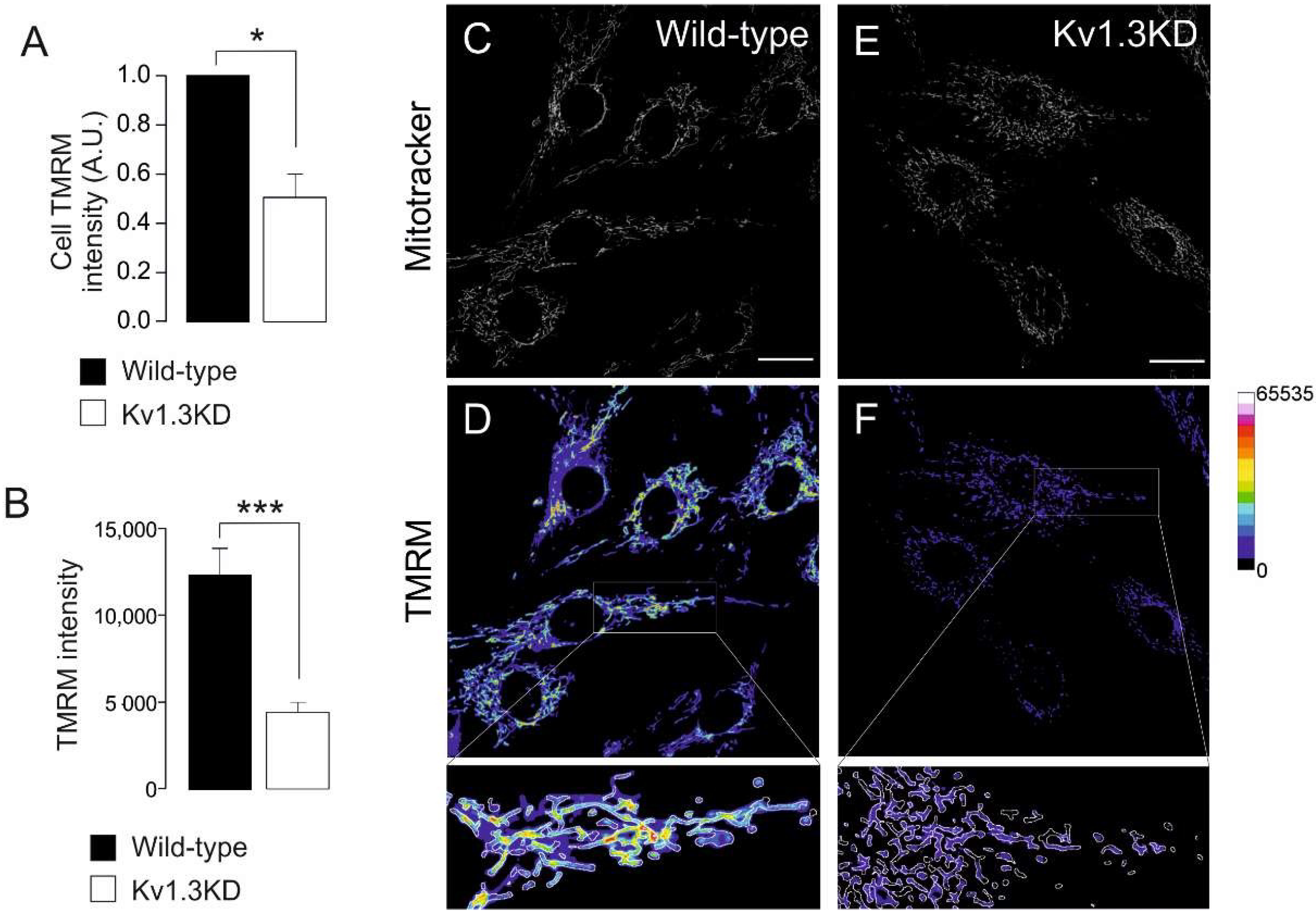Cancers 13 04457 g005