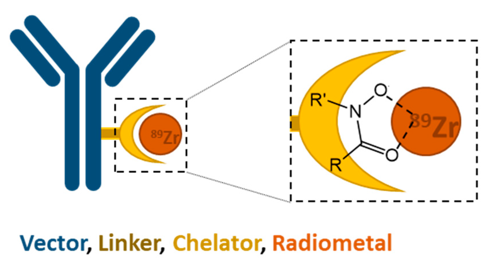 Cancers 13 04466 g001