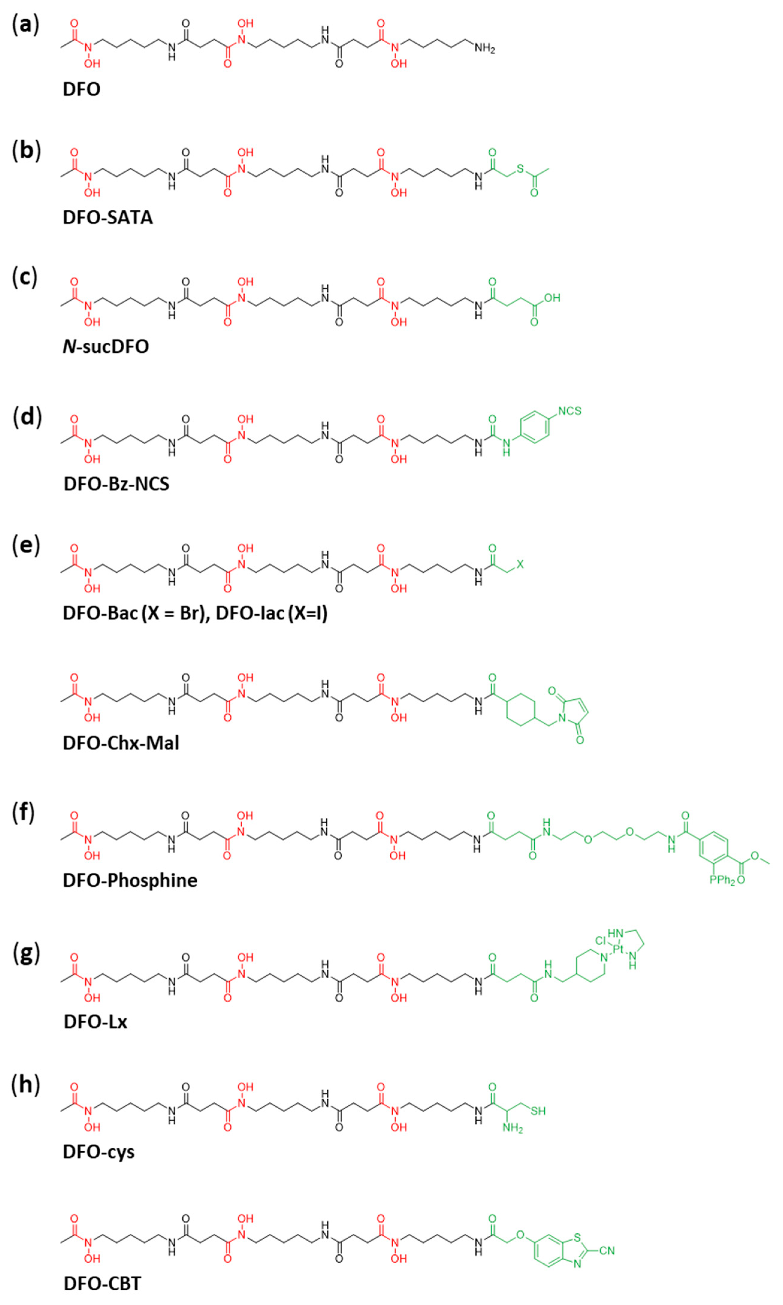 Cancers 13 04466 g003
