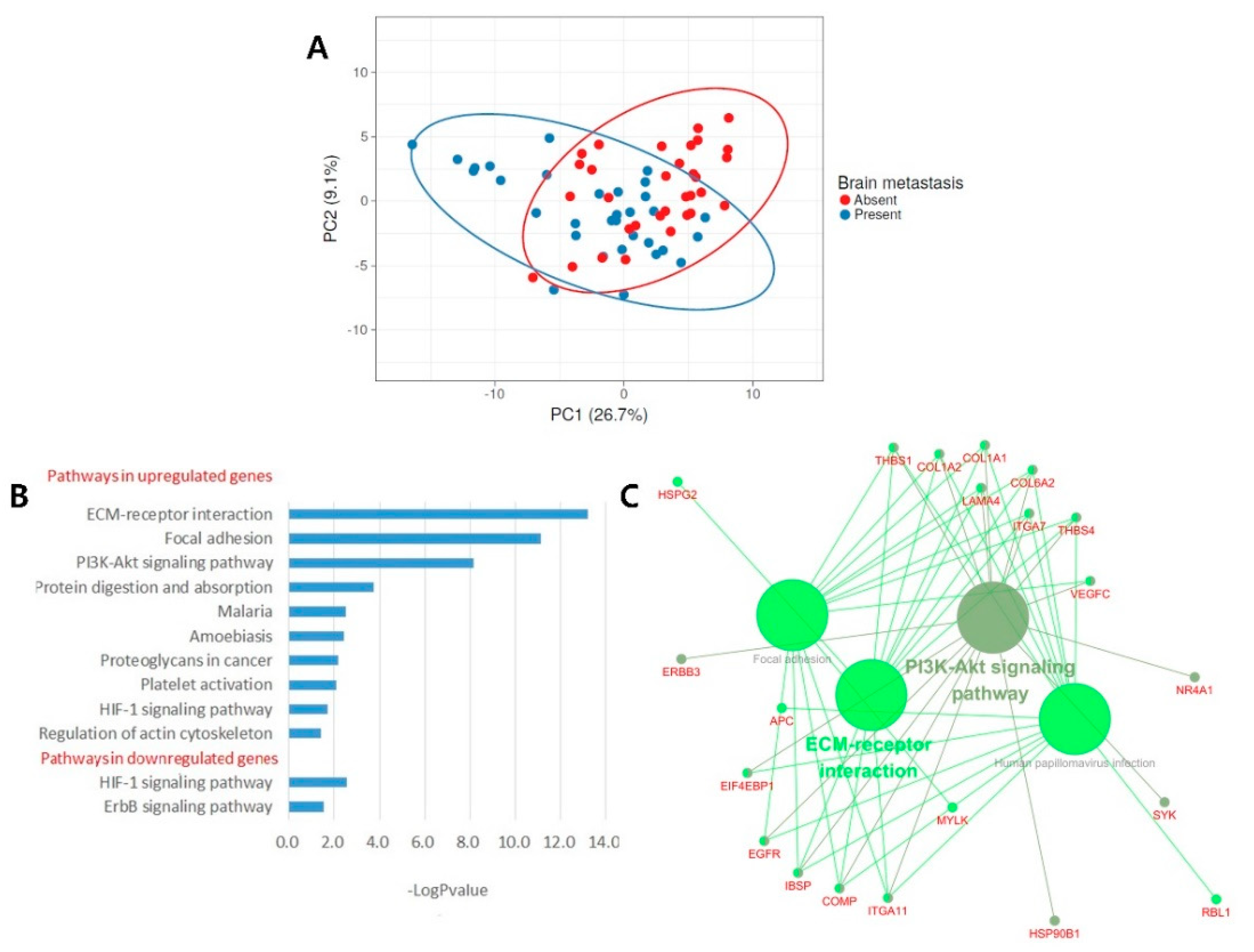 Cancers 13 04468 g005