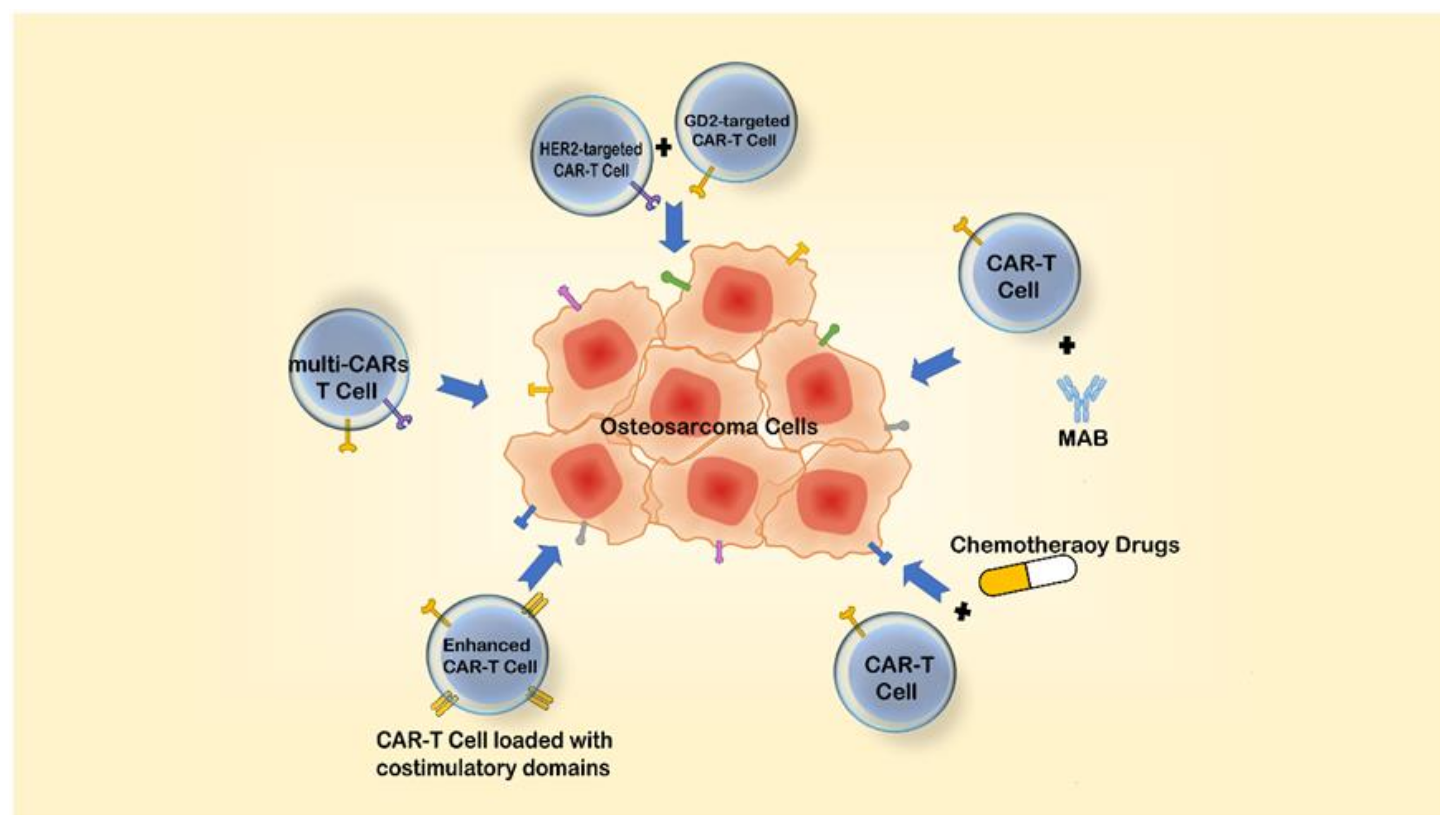 Cancers 13 04469 g003