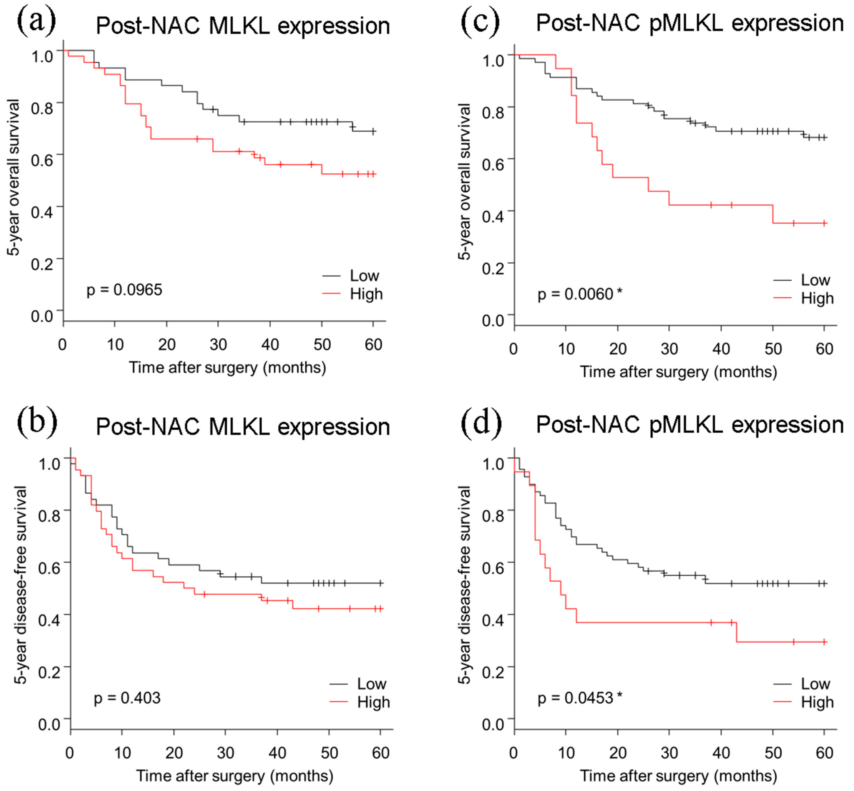 Cancers 13 04473 g002