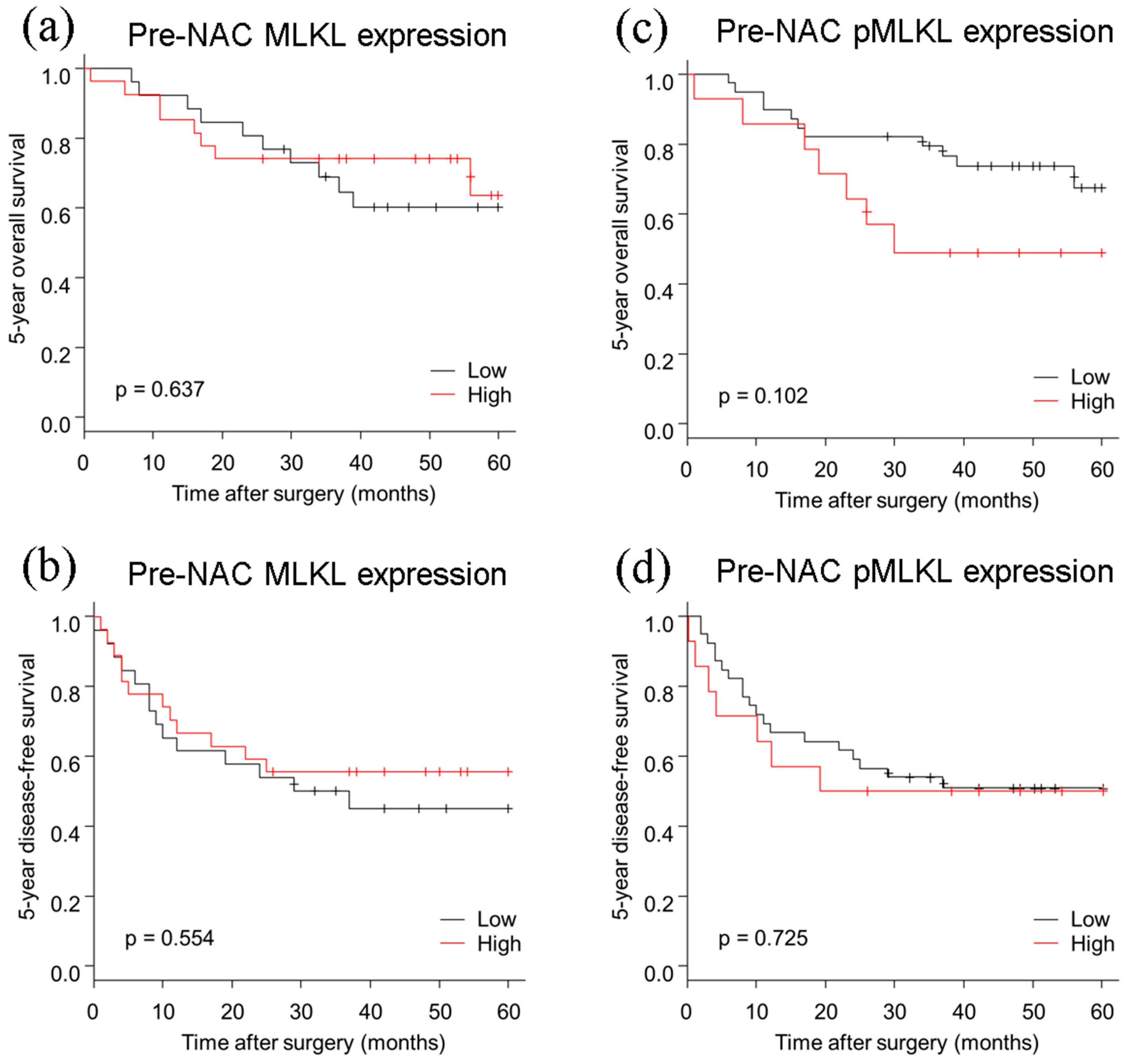 Cancers 13 04473 g003