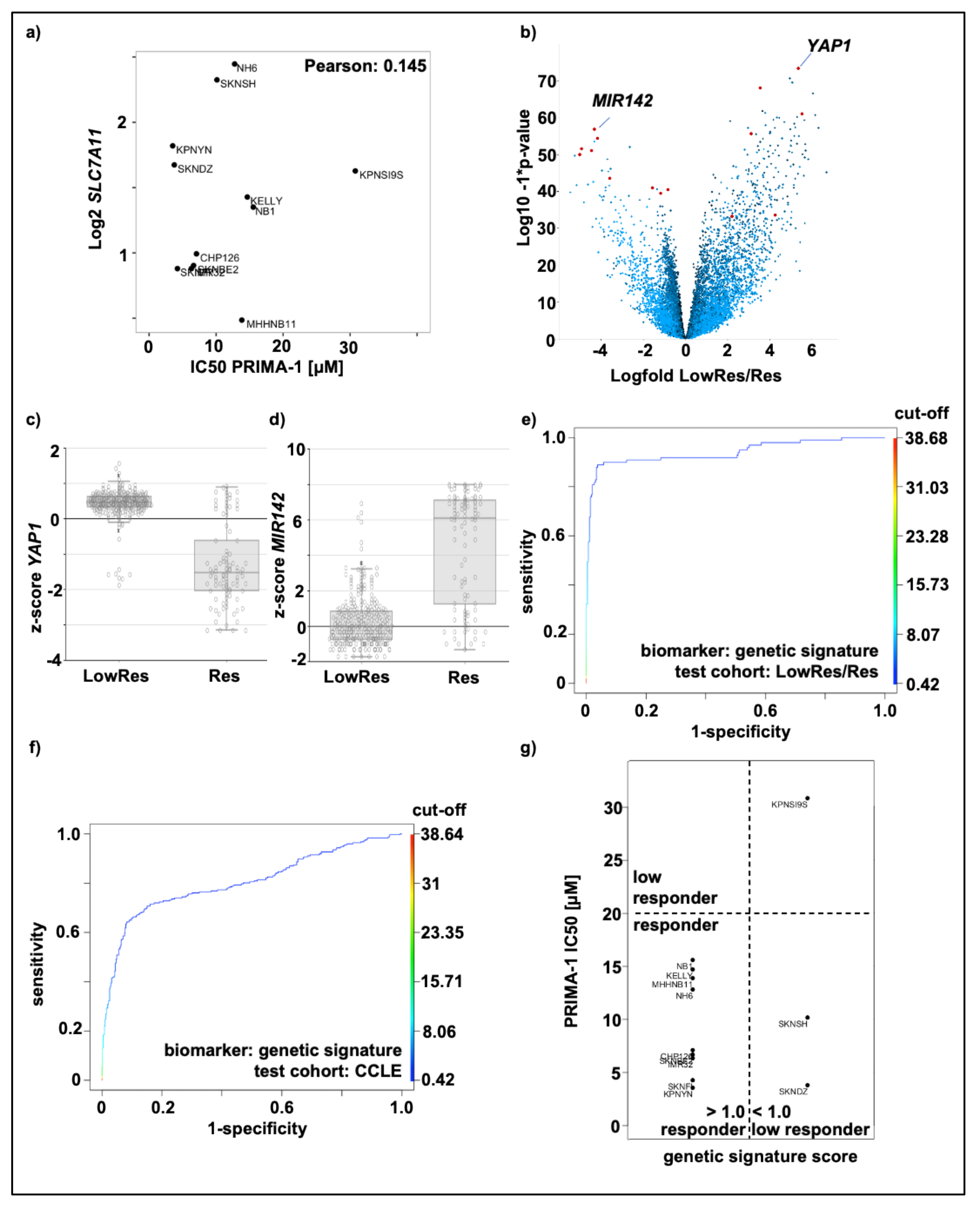 Cancers 13 04476 g003