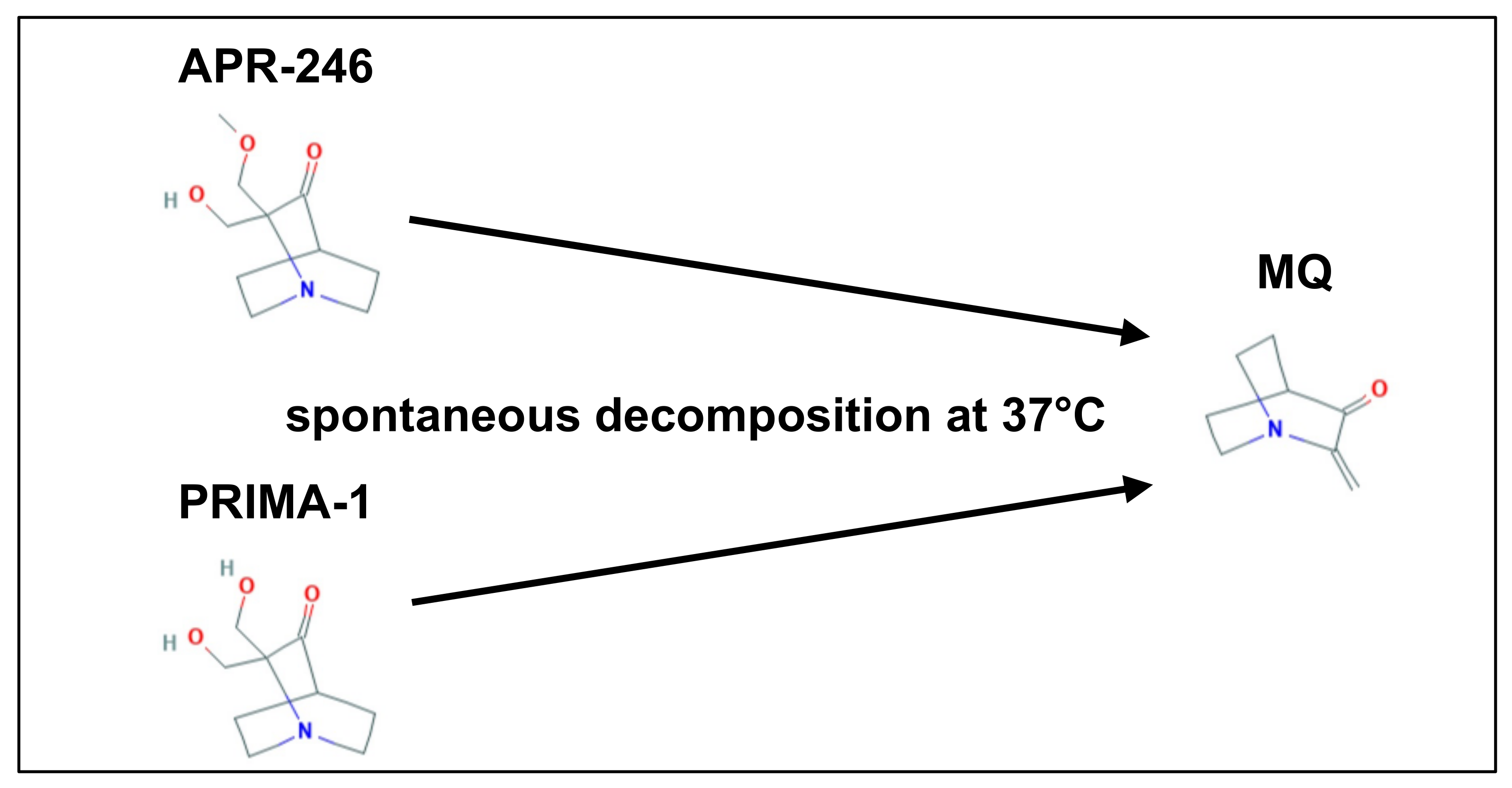 Cancers 13 04476 sch001