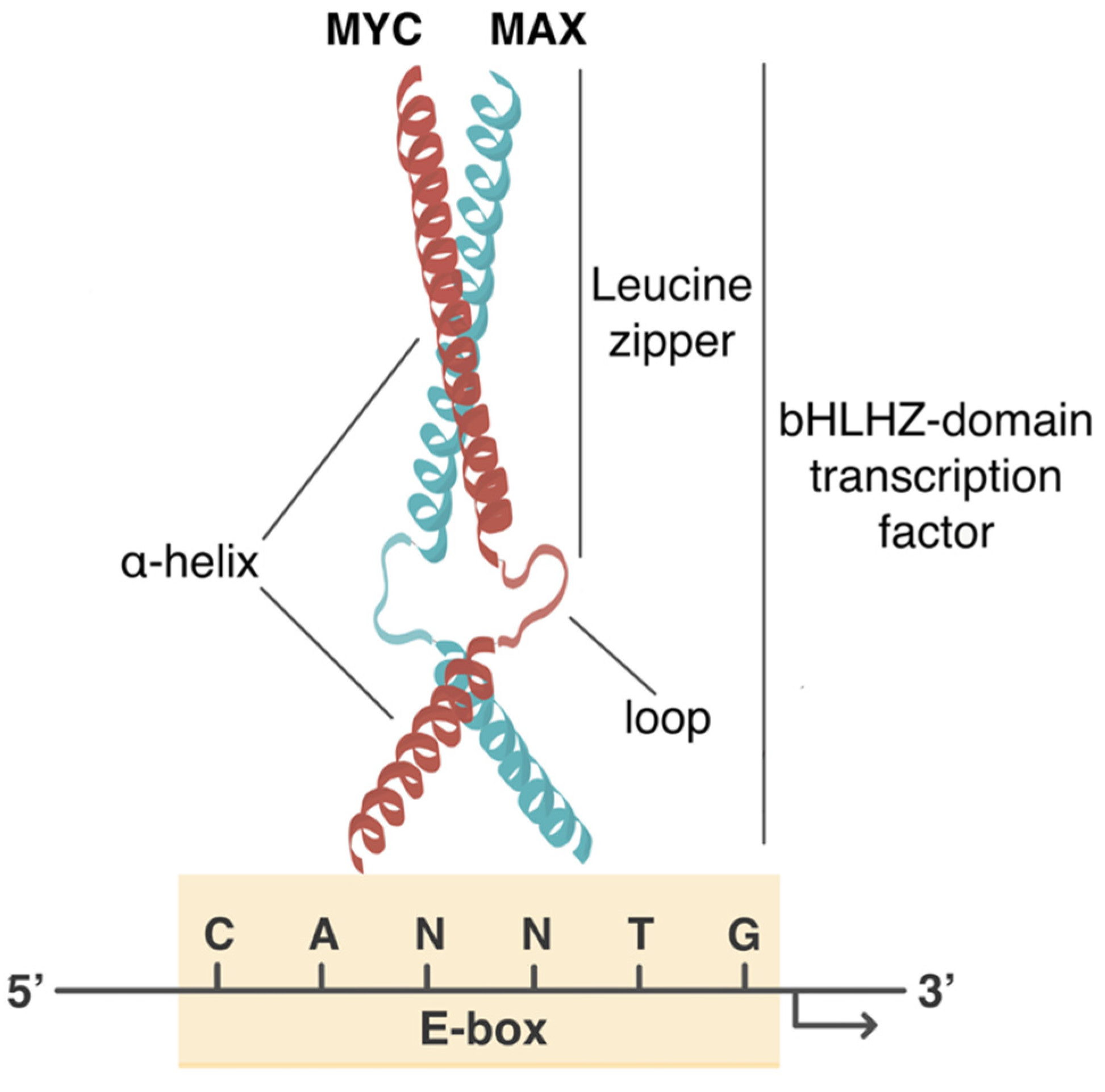 Cancers 13 04484 g001