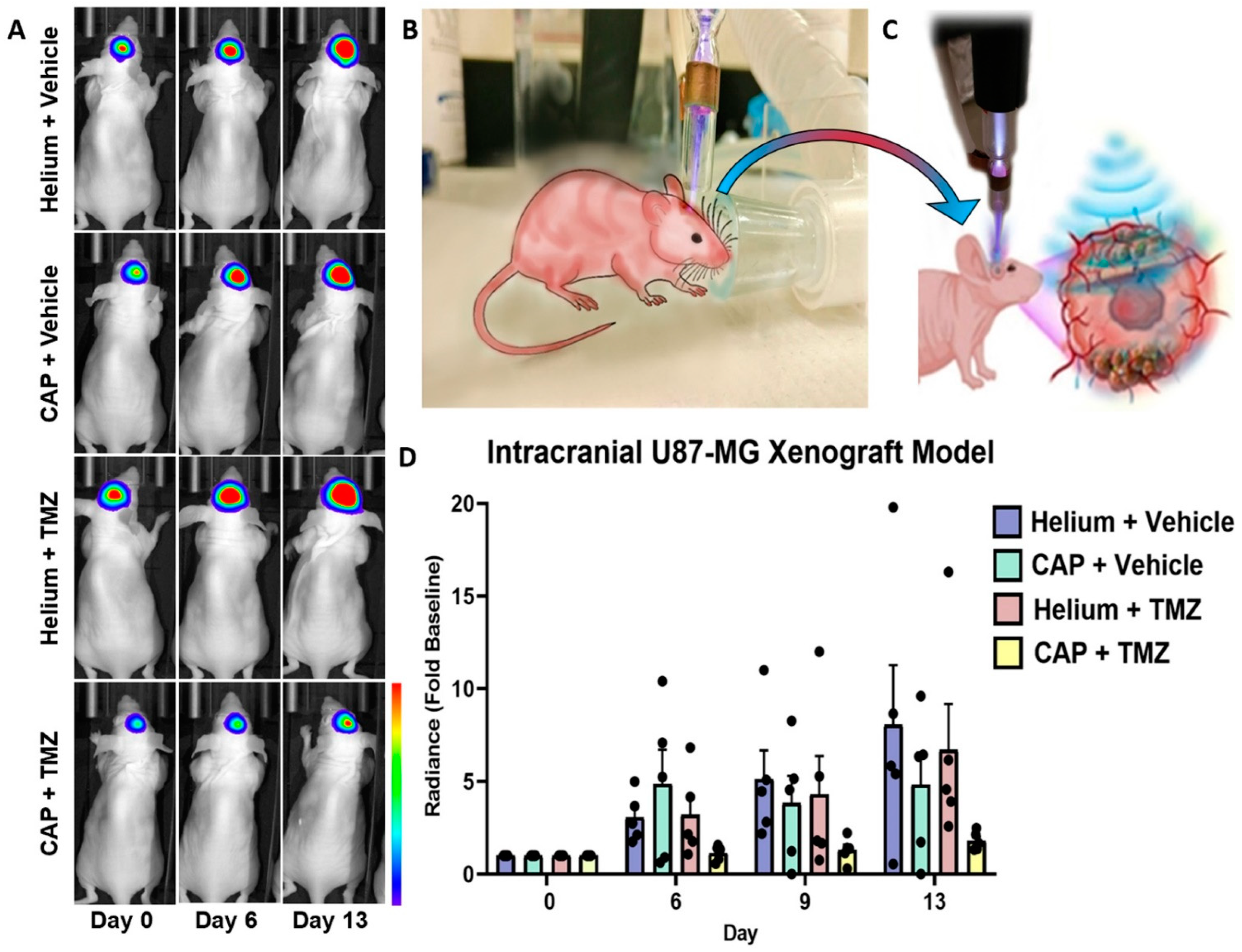 Cancers 13 04485 g009