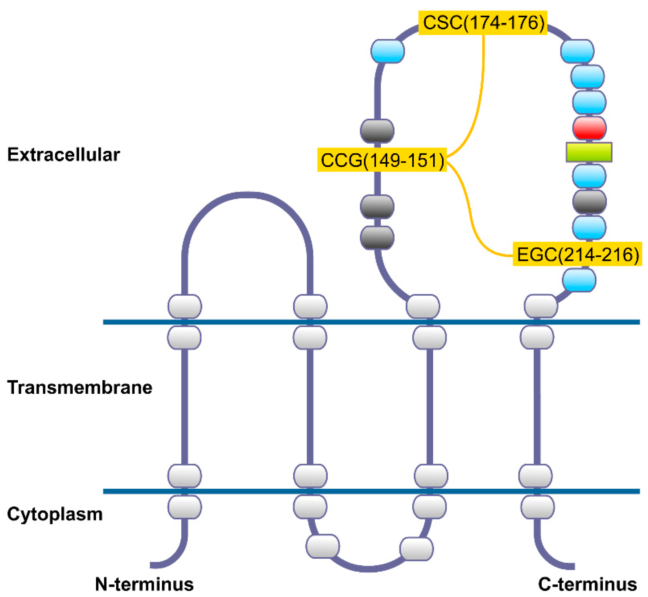 Cancers 13 04486 g002