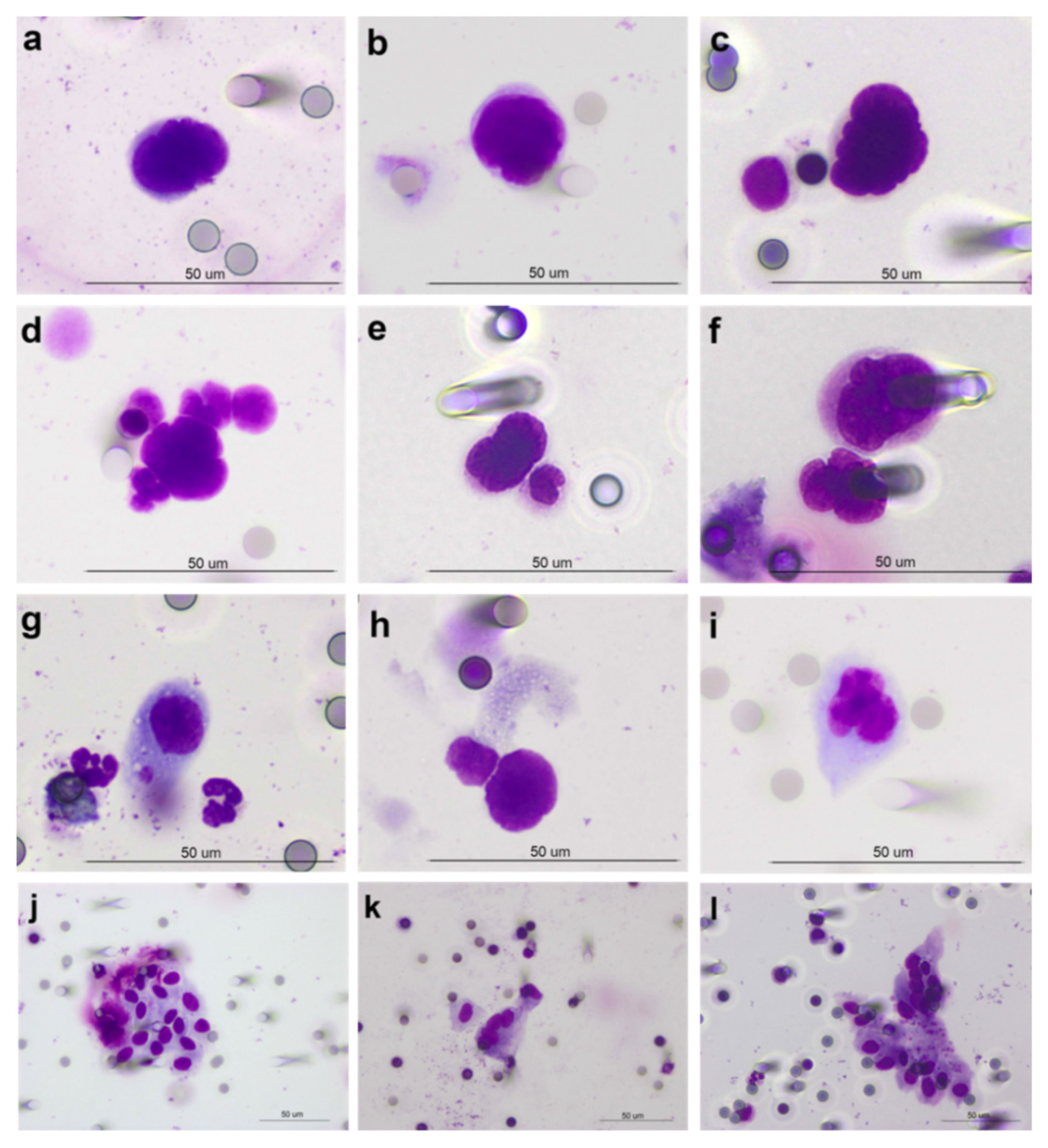 Cancers 13 04488 g001