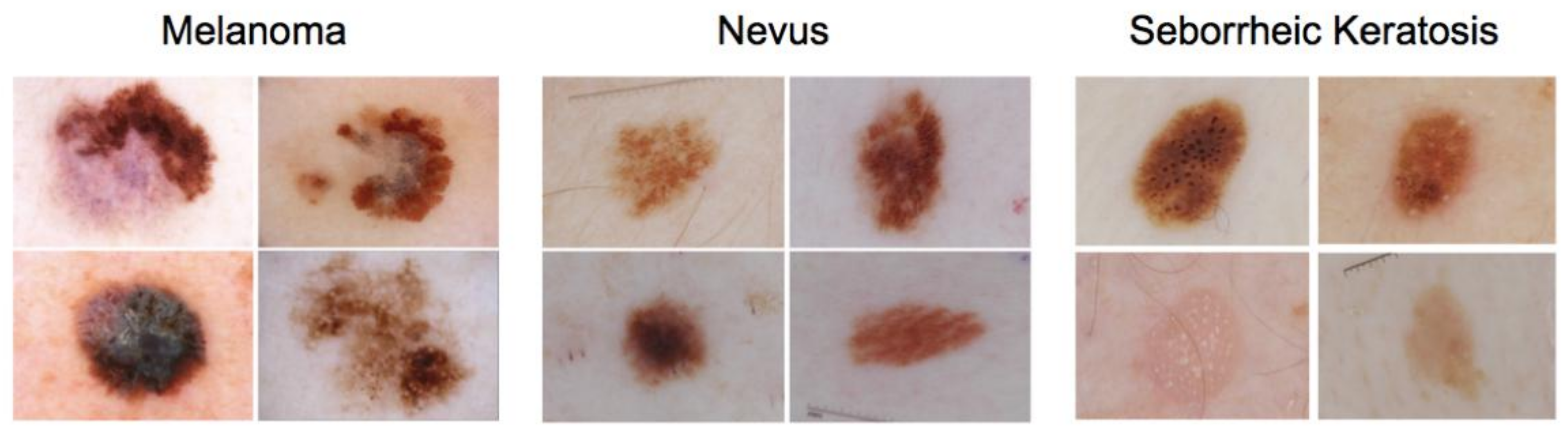 Cancers 13 04494 g001