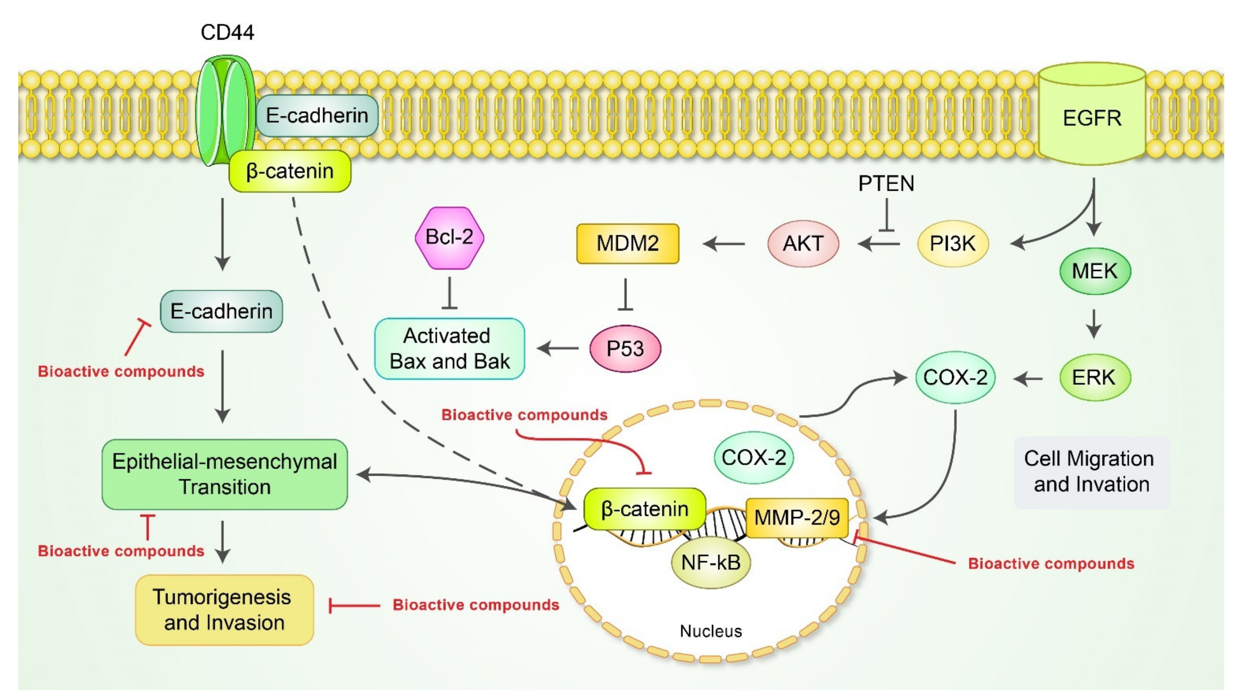 Cancers 13 04502 g004