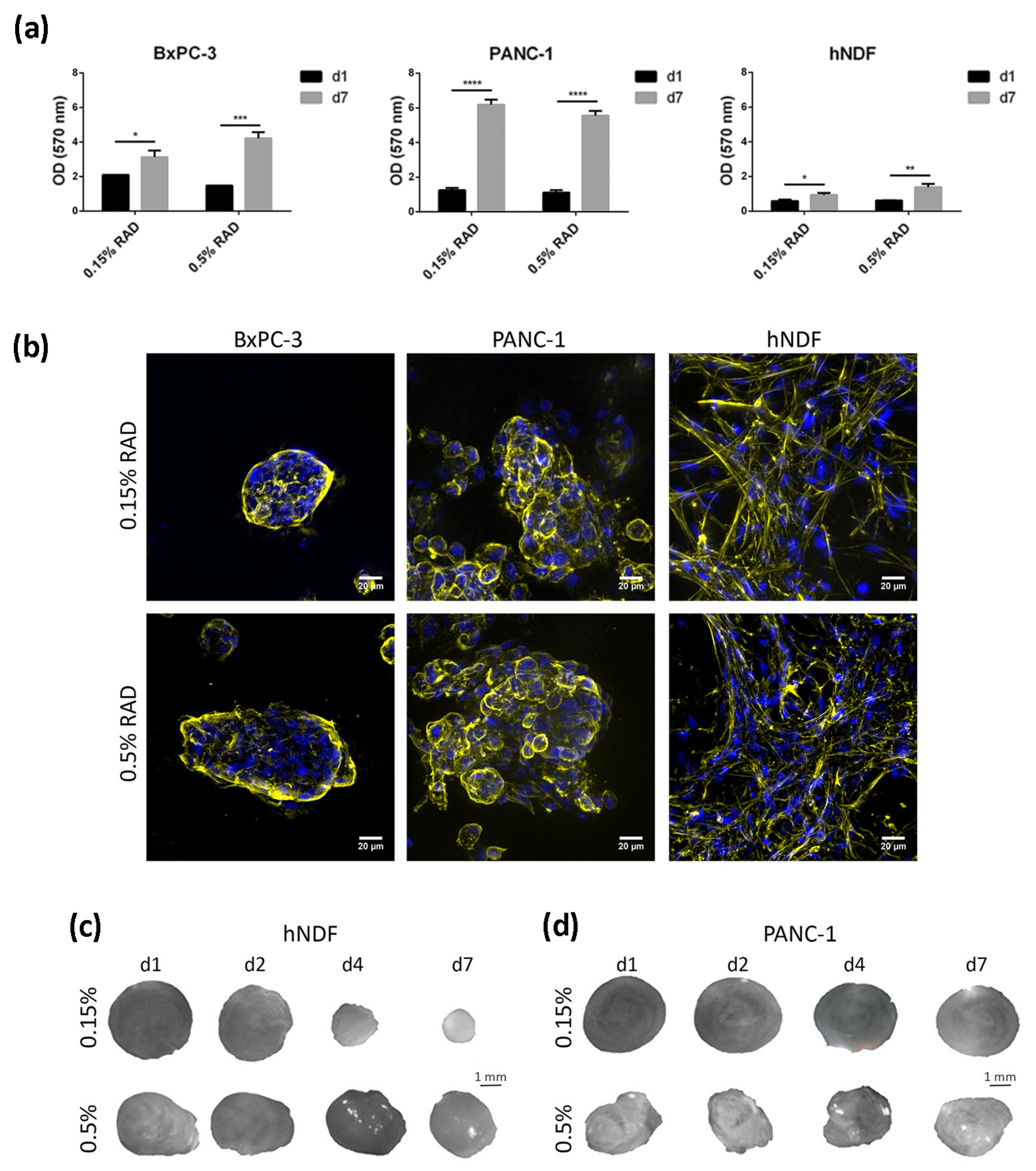Cancers 13 04504 g001