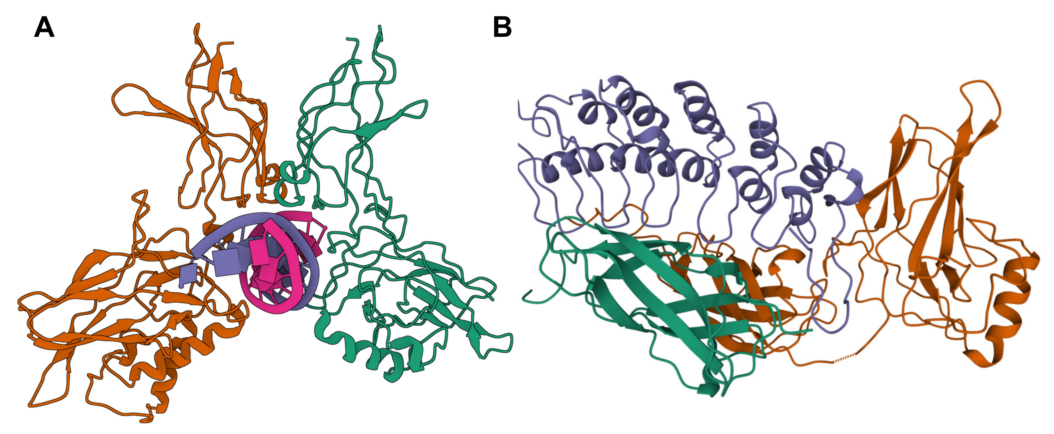Cancers 13 04510 g002