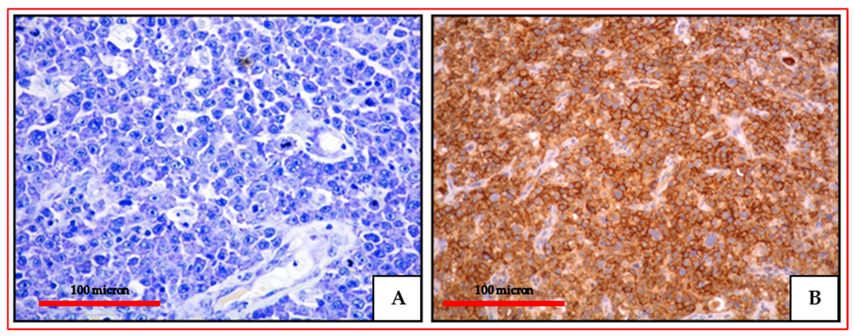 Cancers 13 04527 g001