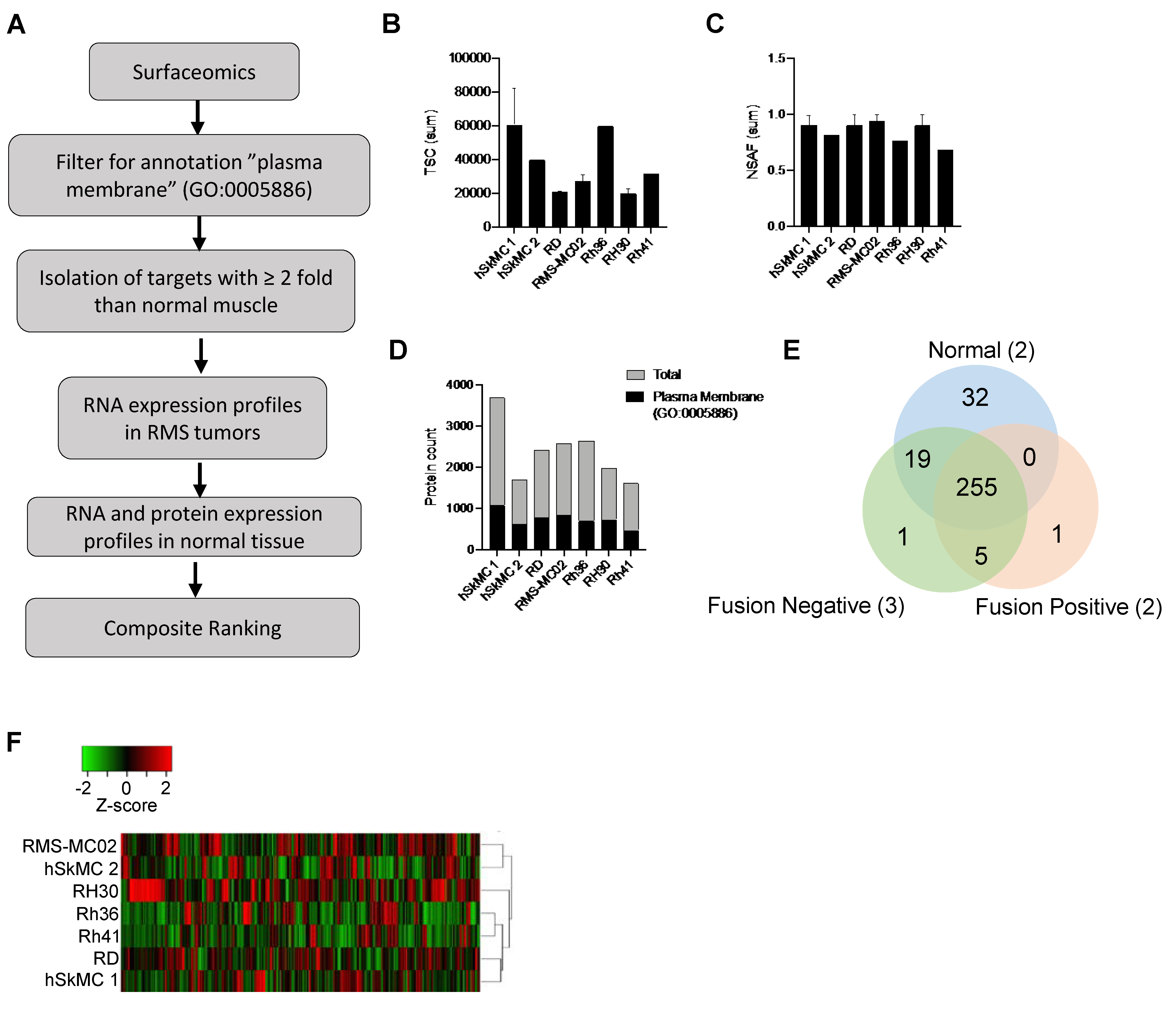 Cancers 13 04528 g001