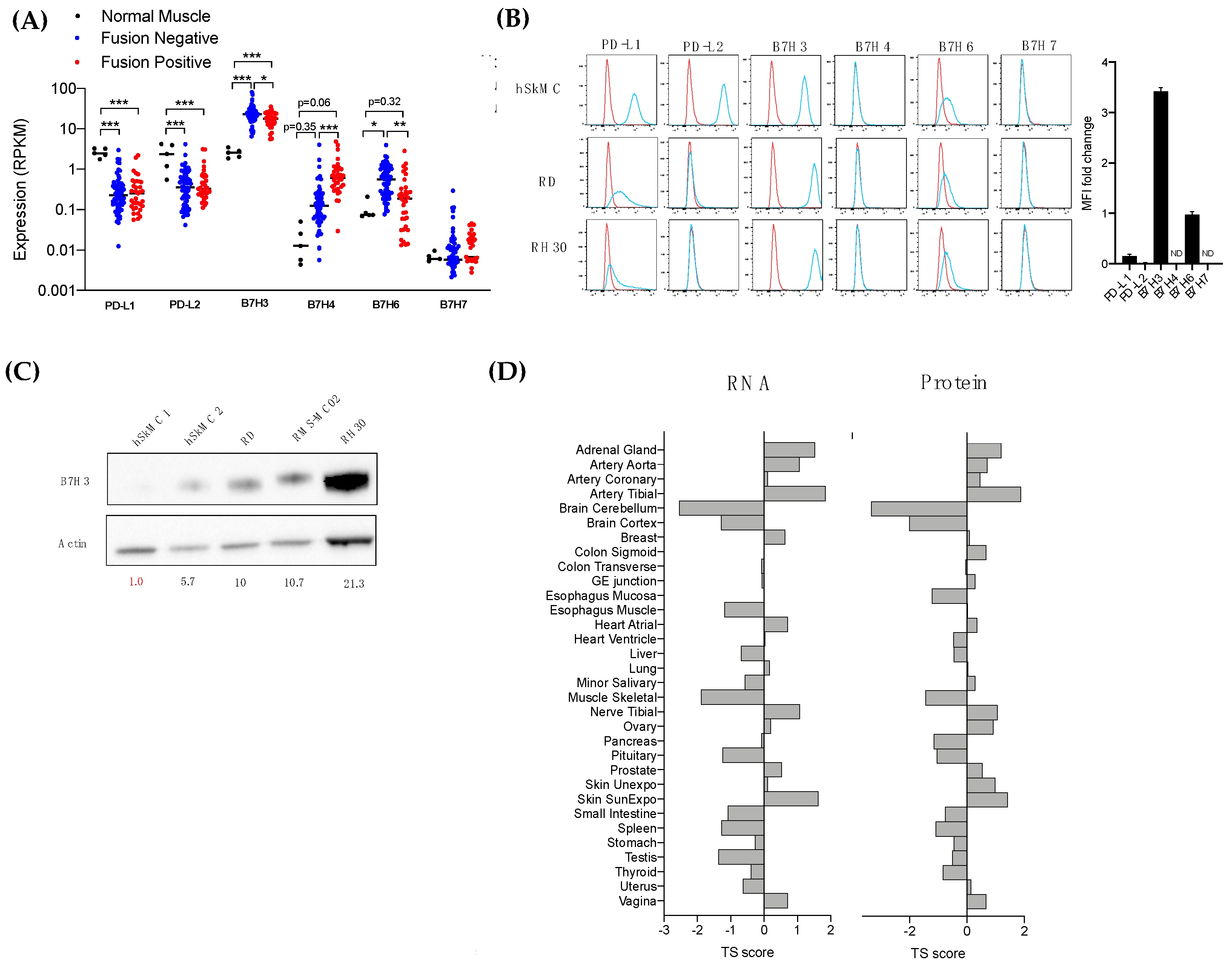 Cancers 13 04528 g003