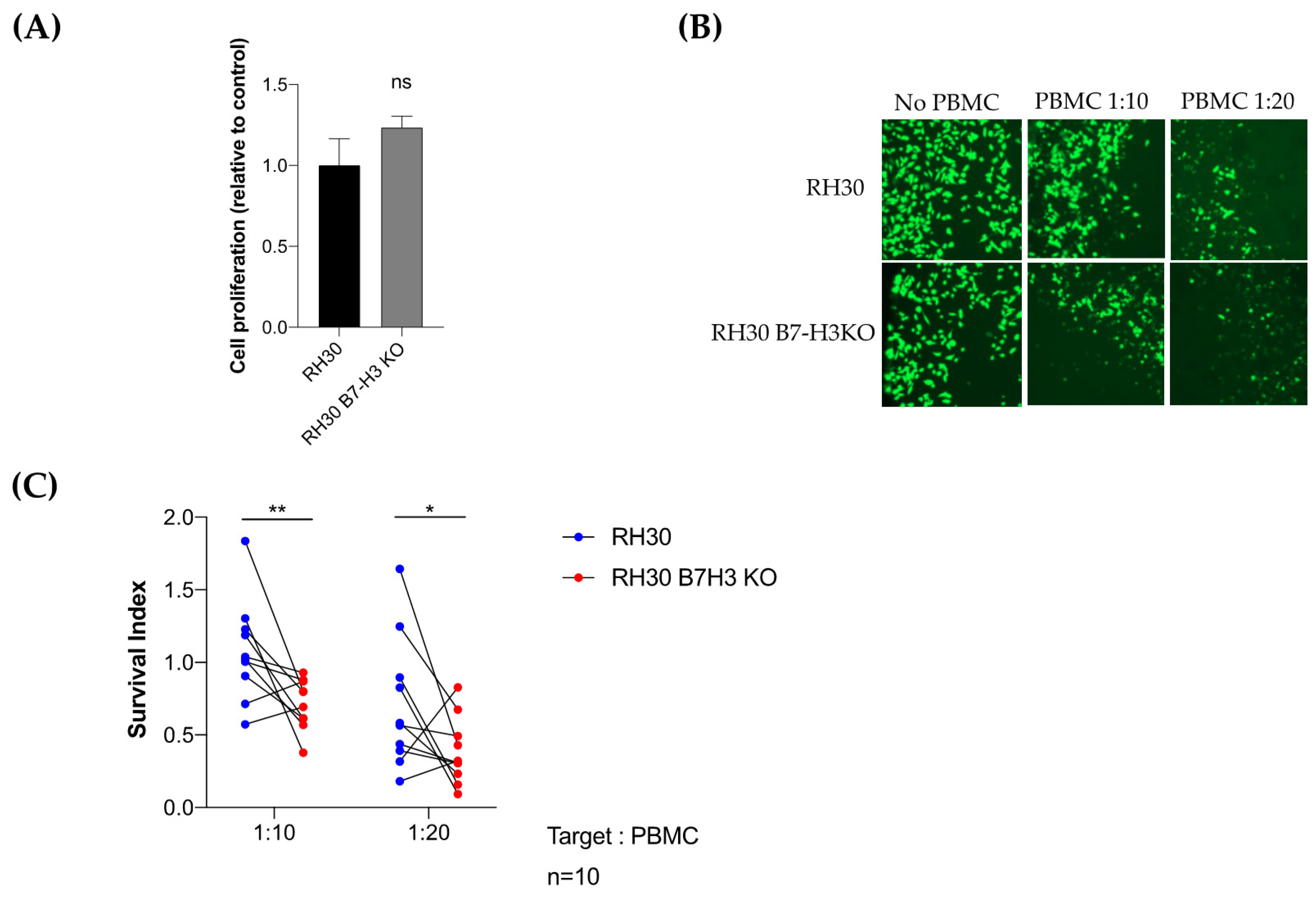 Cancers 13 04528 g006