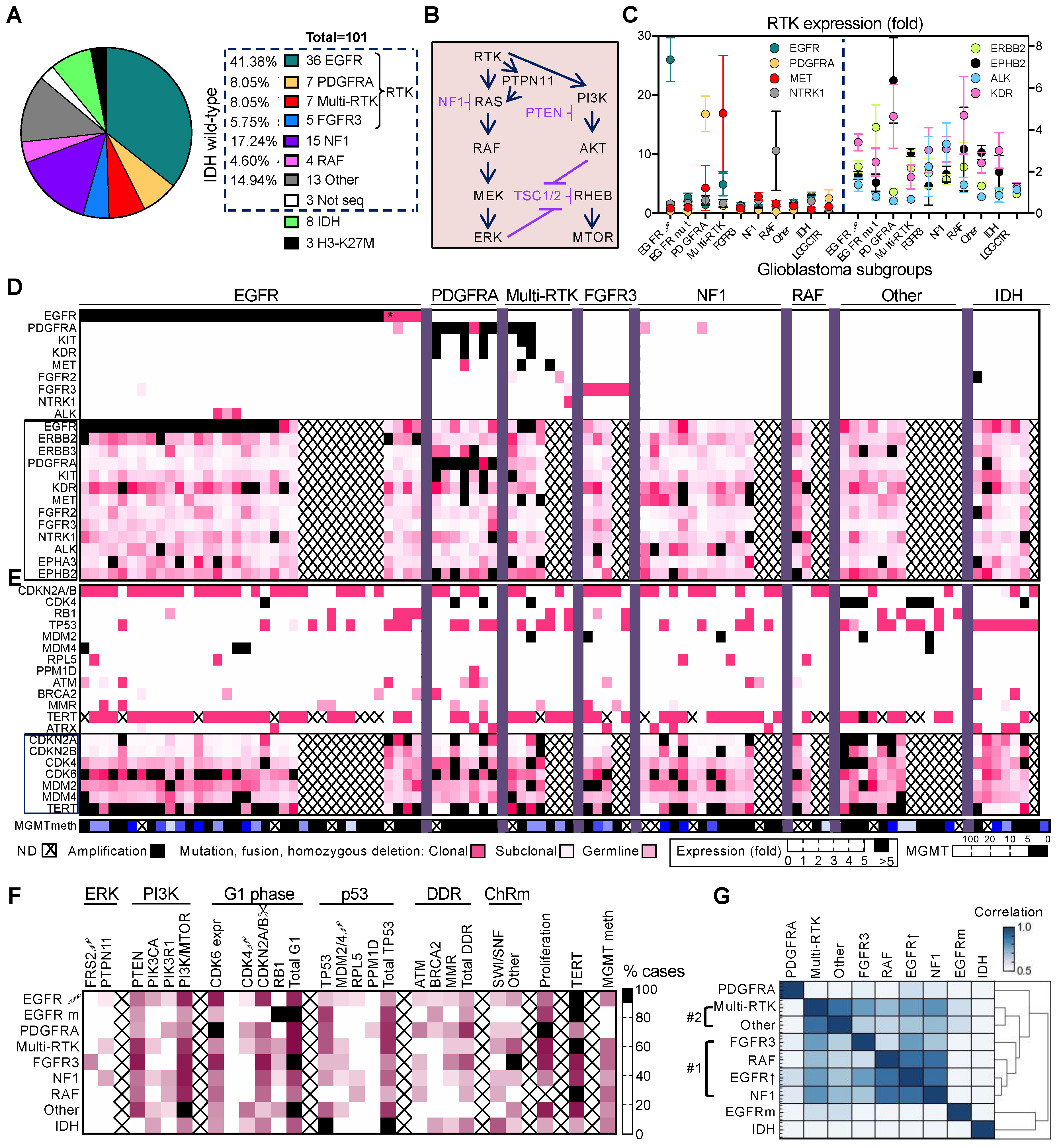 Cancers 13 04532 g001