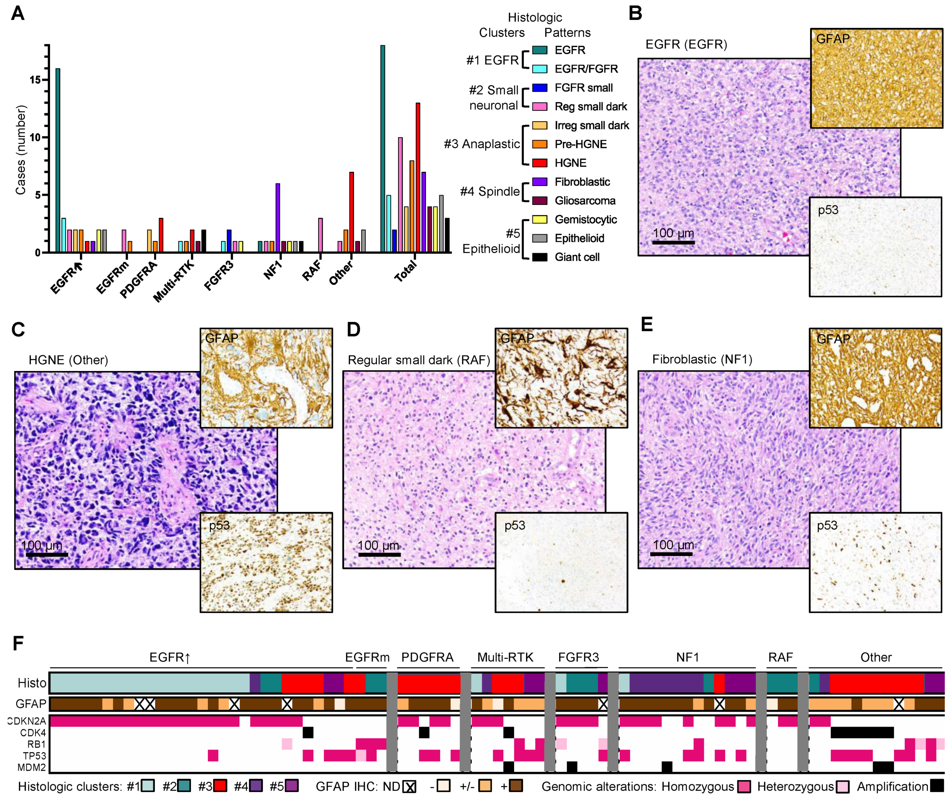 Cancers 13 04532 g003