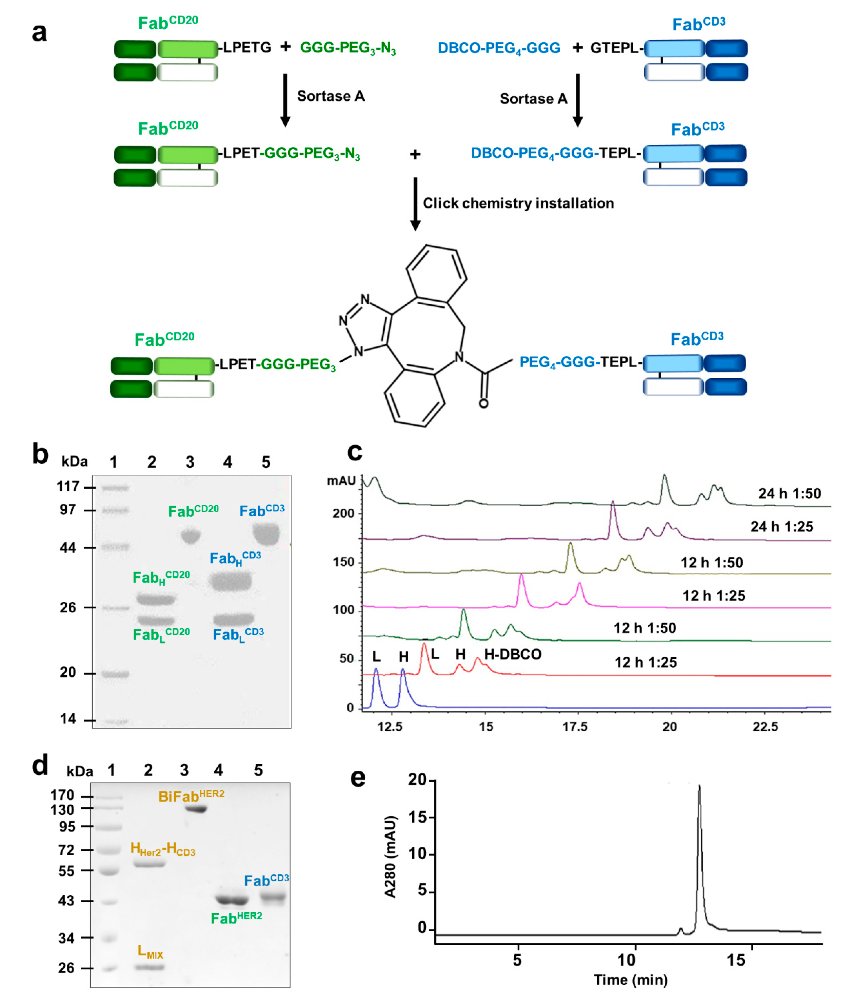 Cancers 13 04540 g001