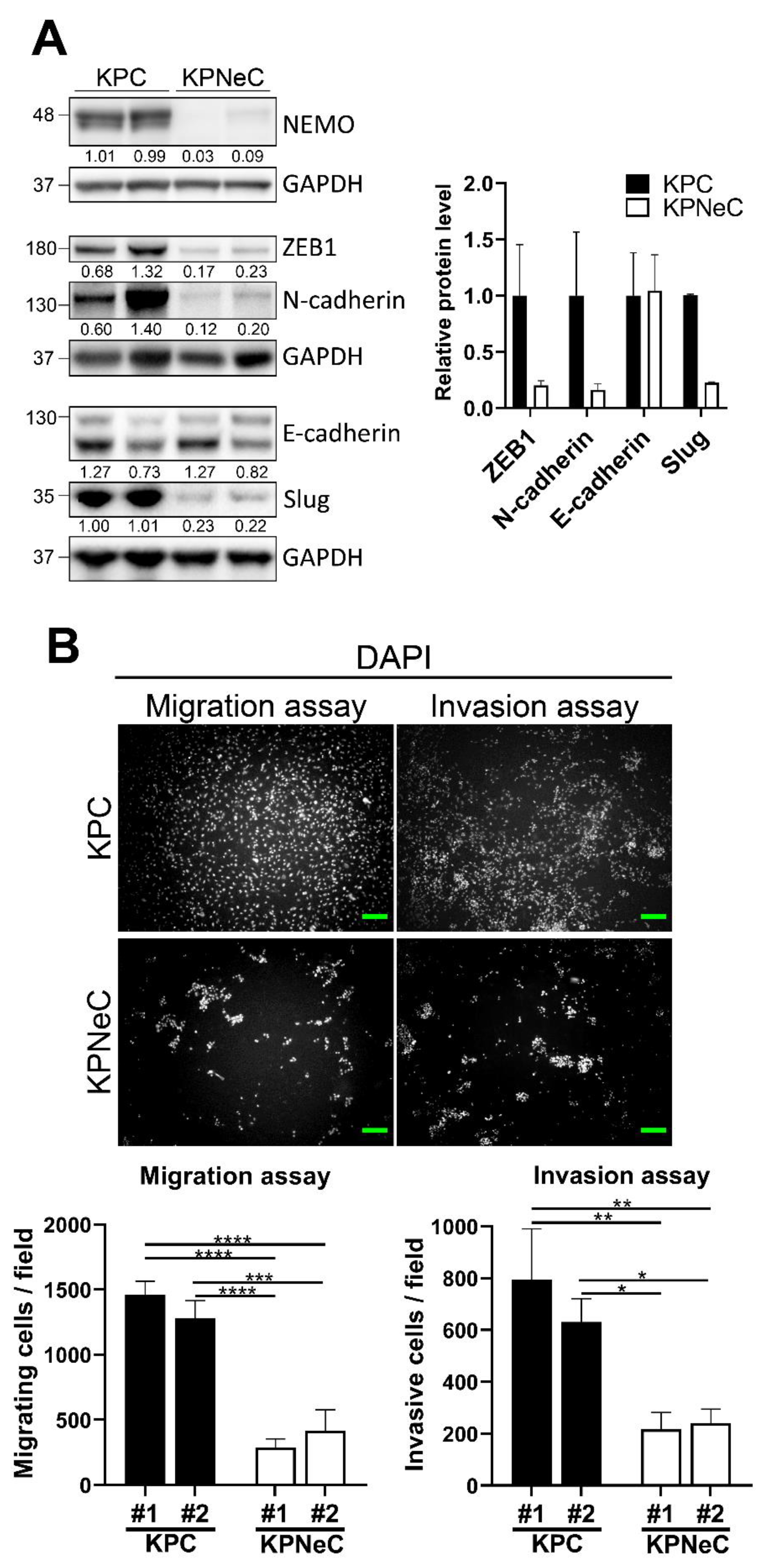 Cancers 13 04541 g004