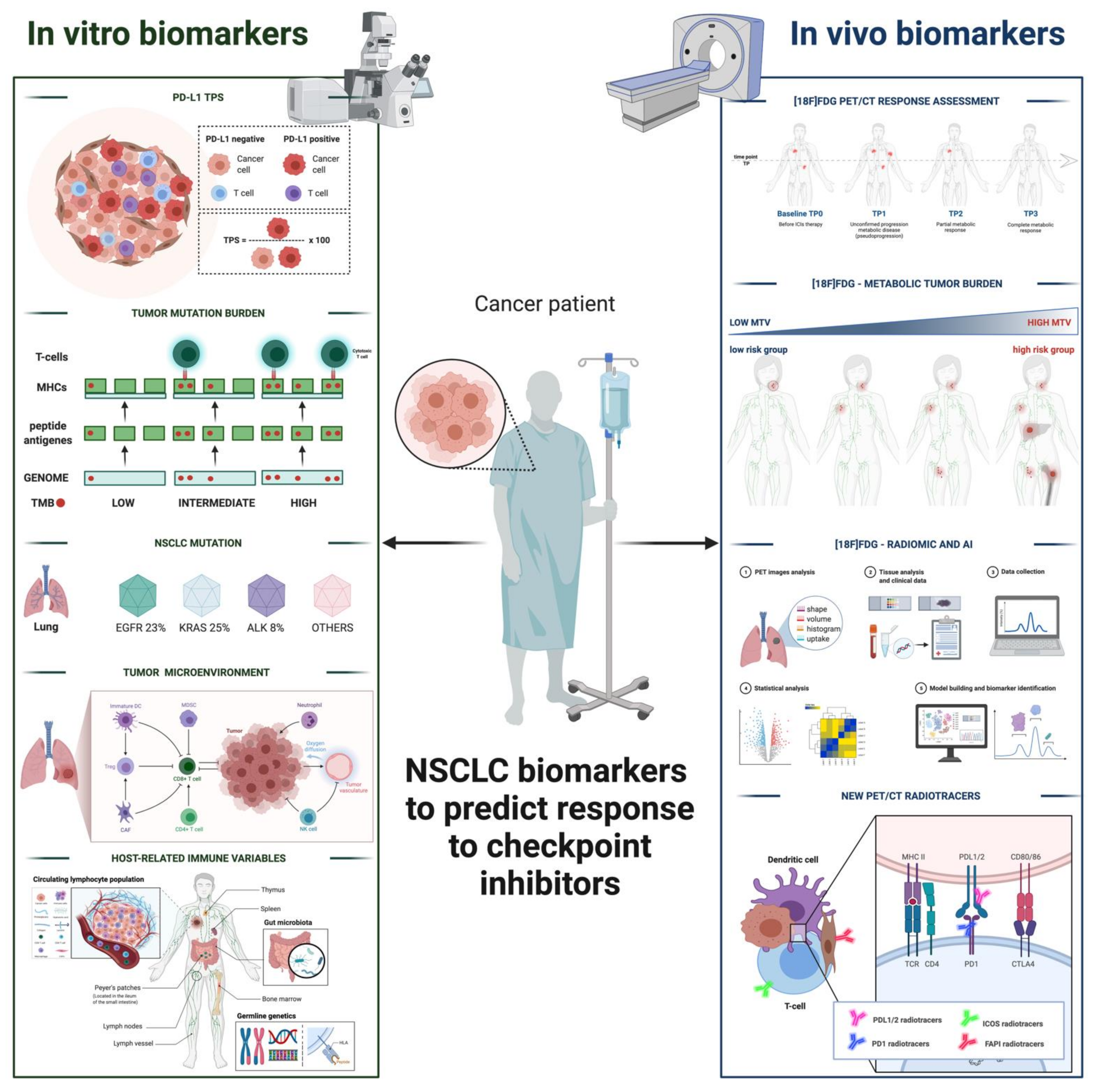 Cancers 13 04543 g001