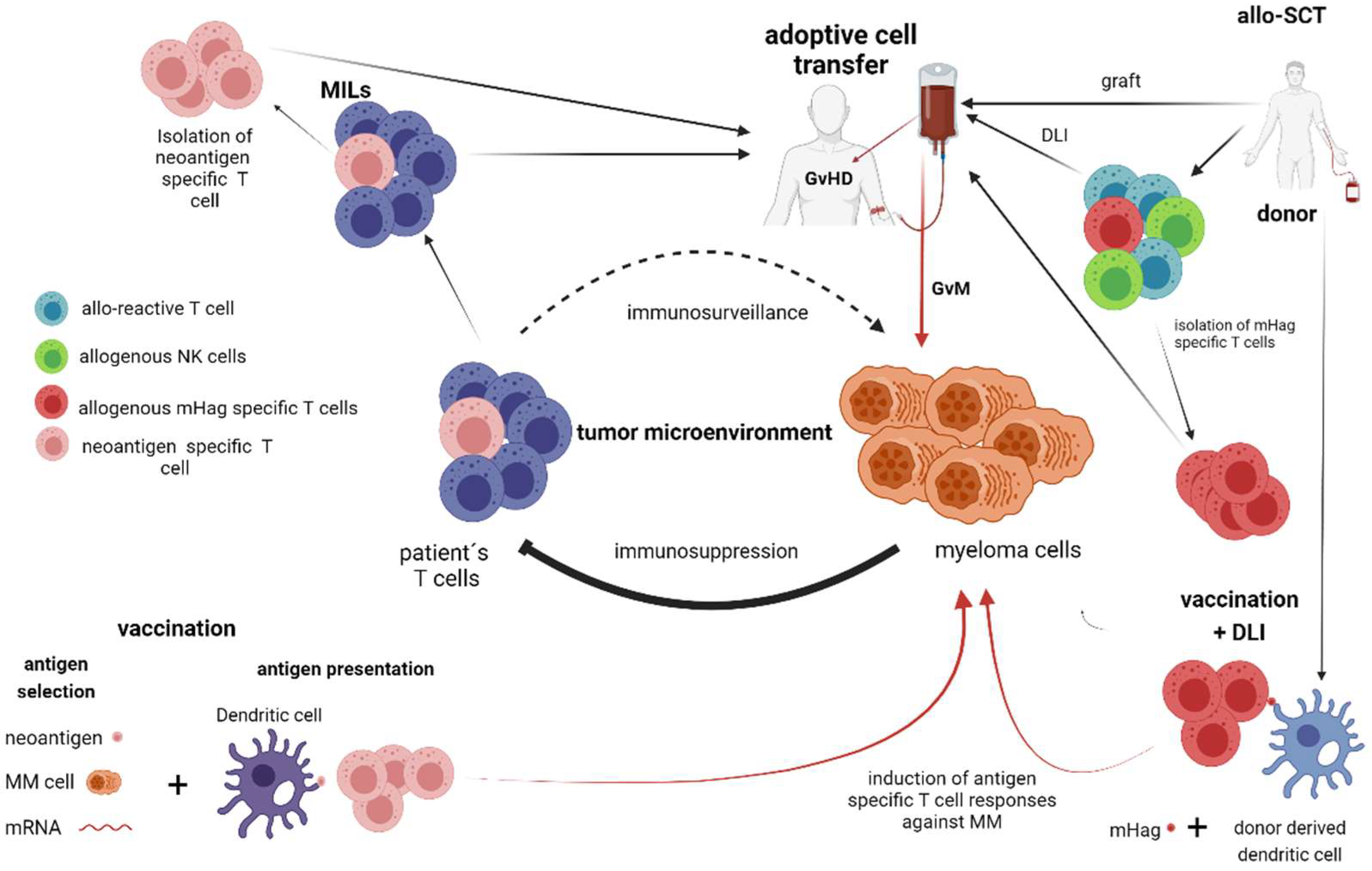 Cancers 13 04546 g002