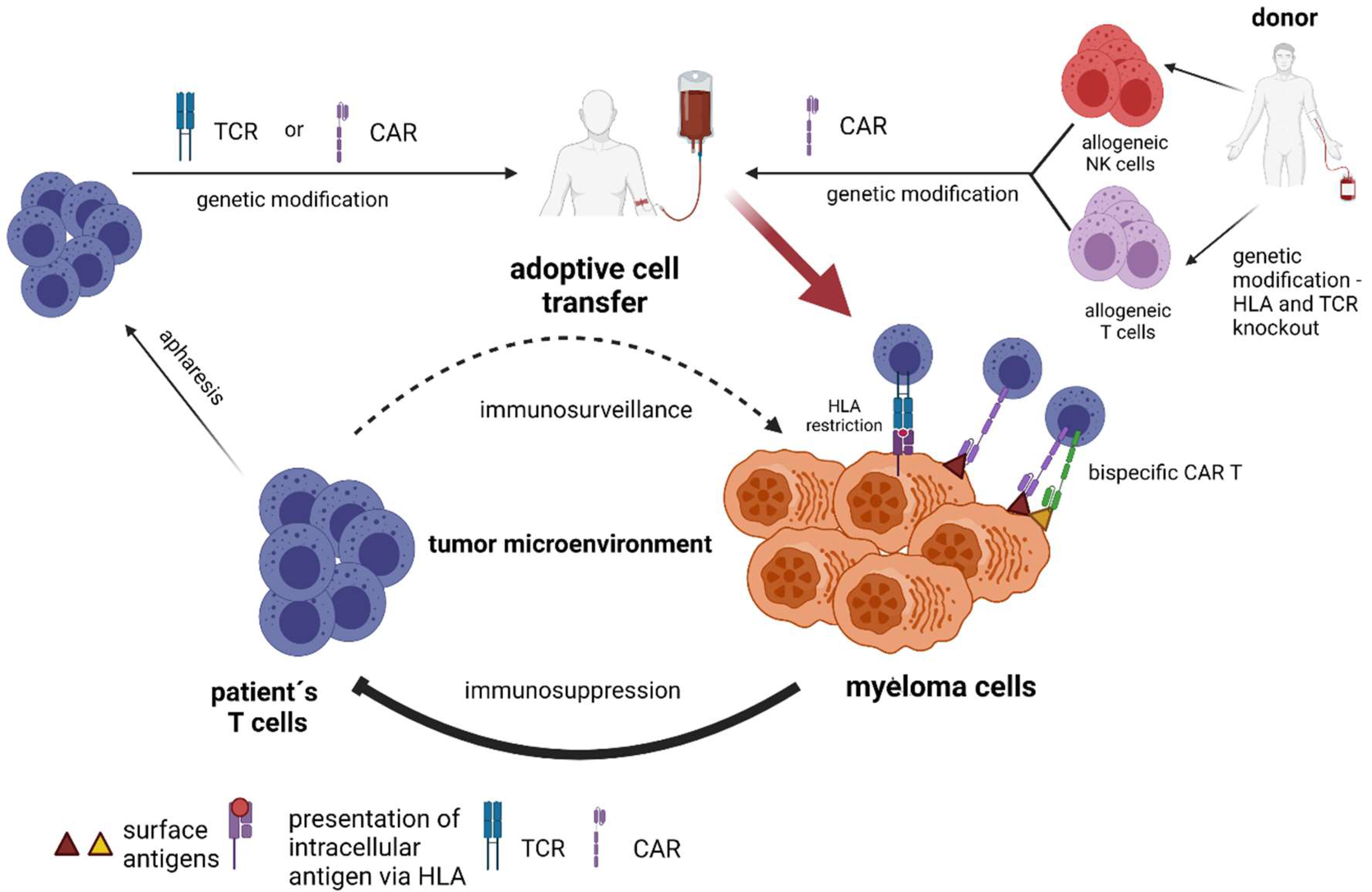 Cancers 13 04546 g003