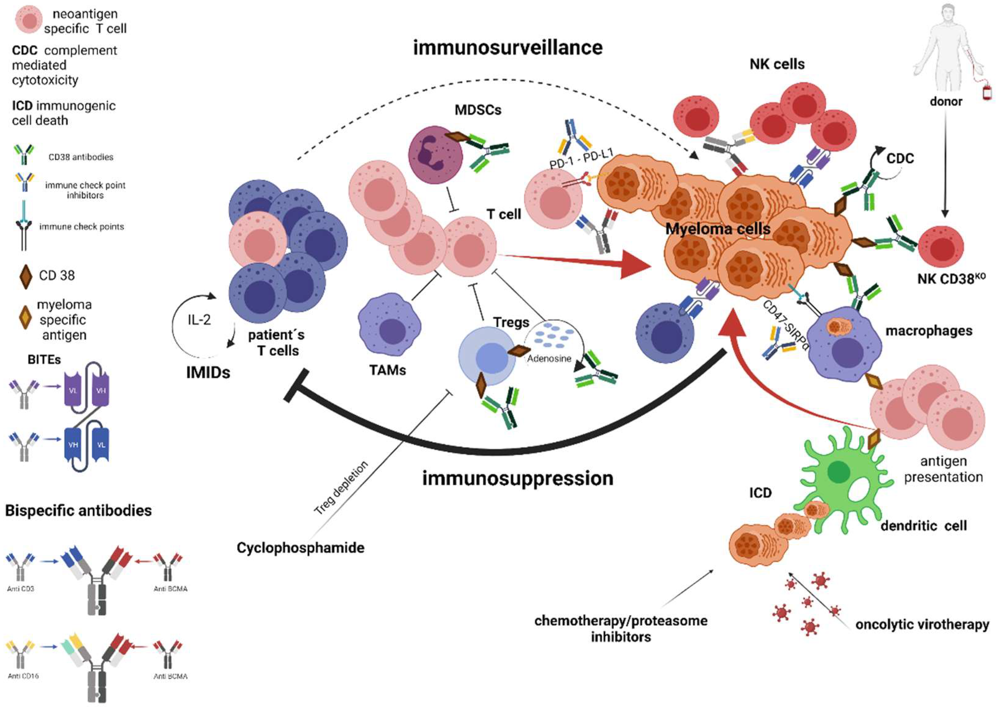 Cancers 13 04546 g004