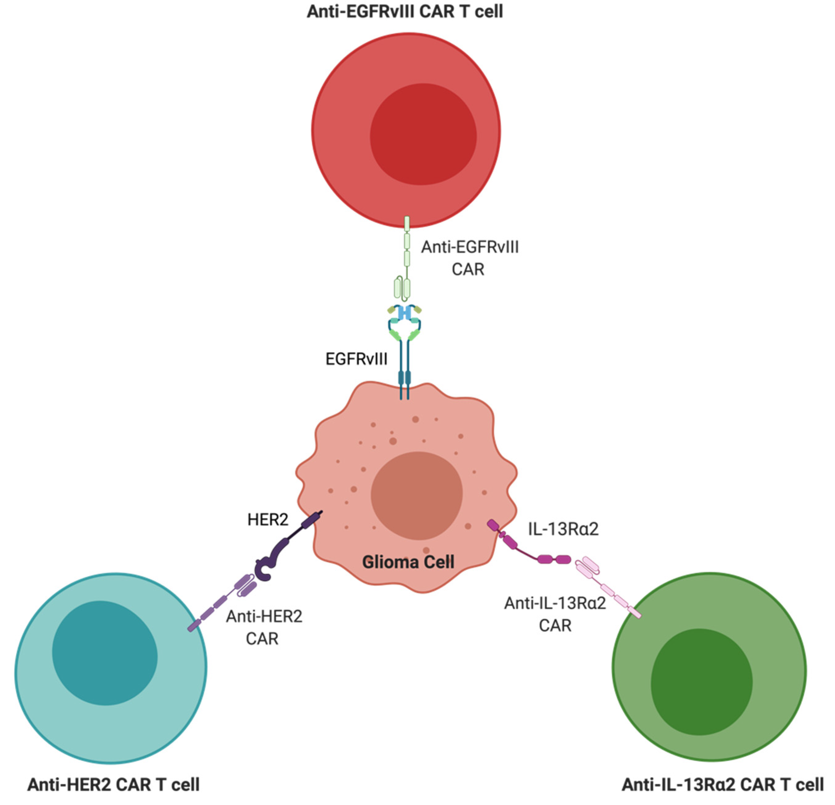 Cancers 13 04548 g002