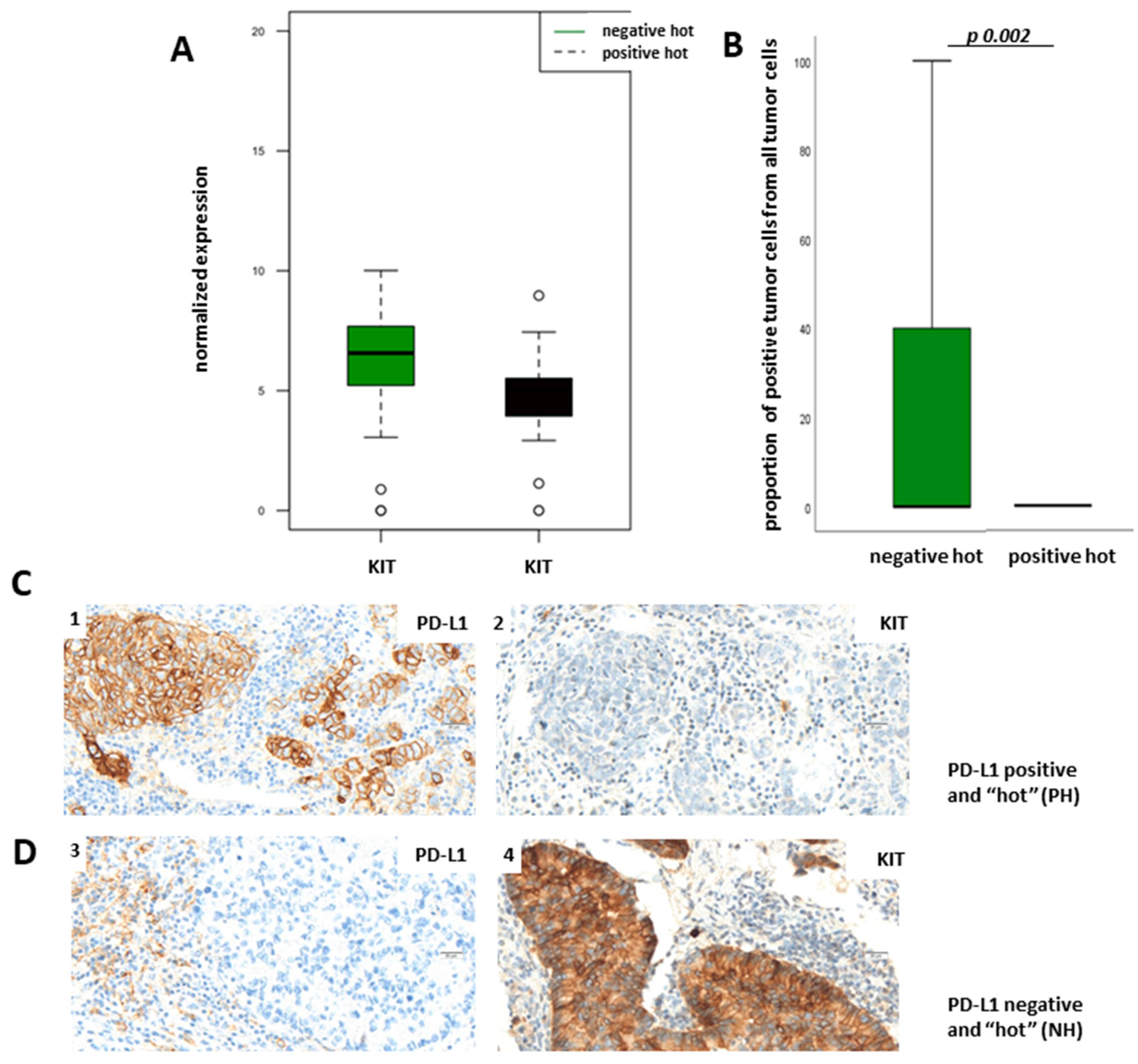 Cancers 13 04562 g006