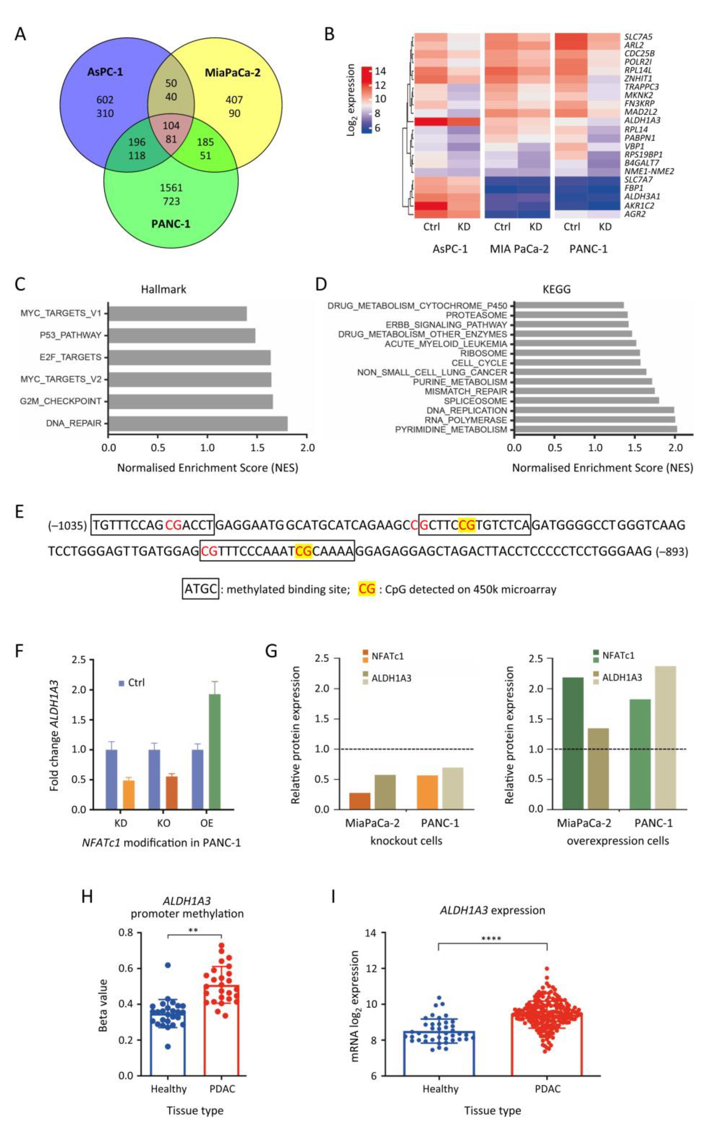 Cancers 13 04569 g004